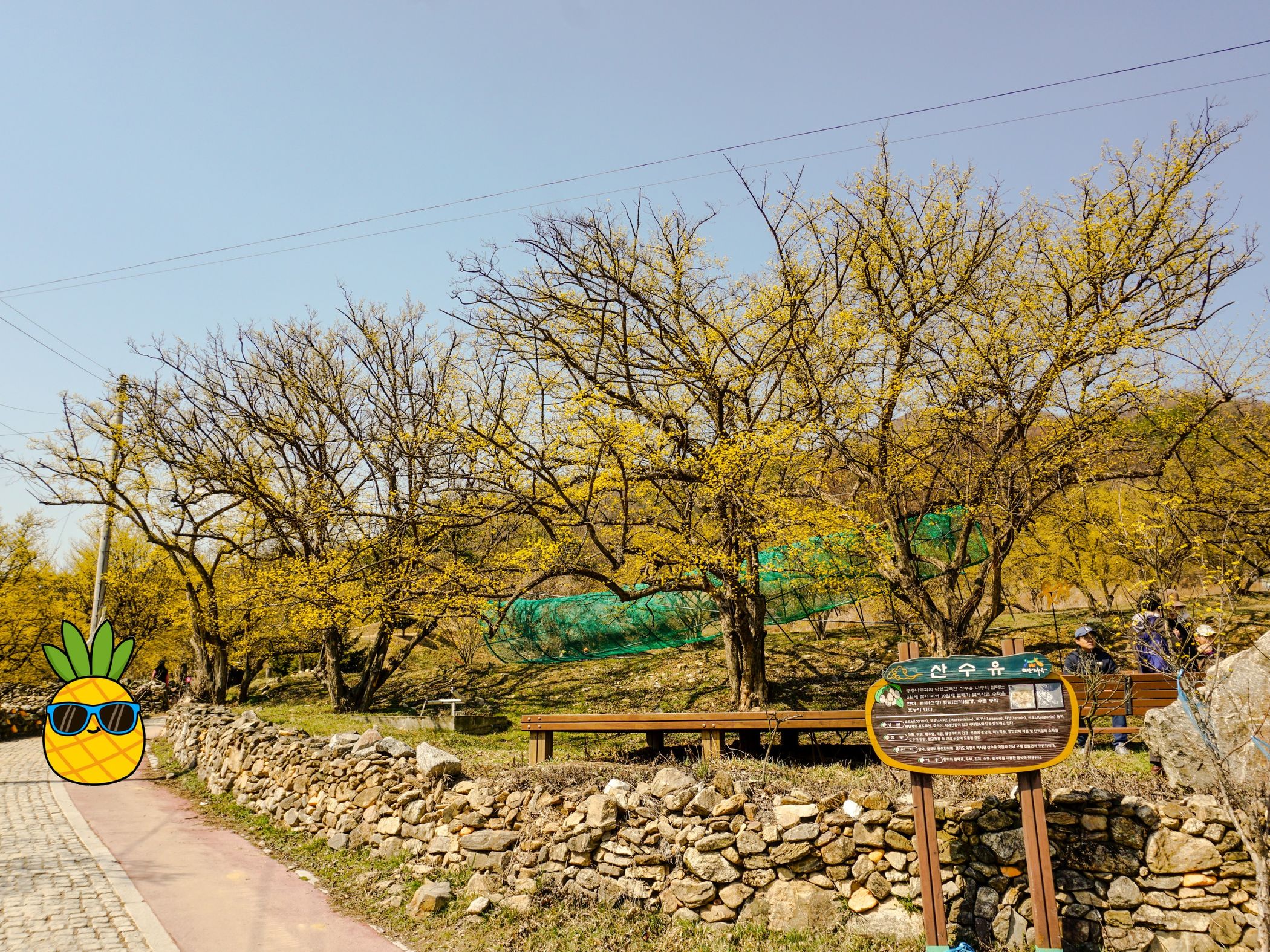 Sign1.jpg