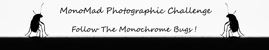 Mono banner.png