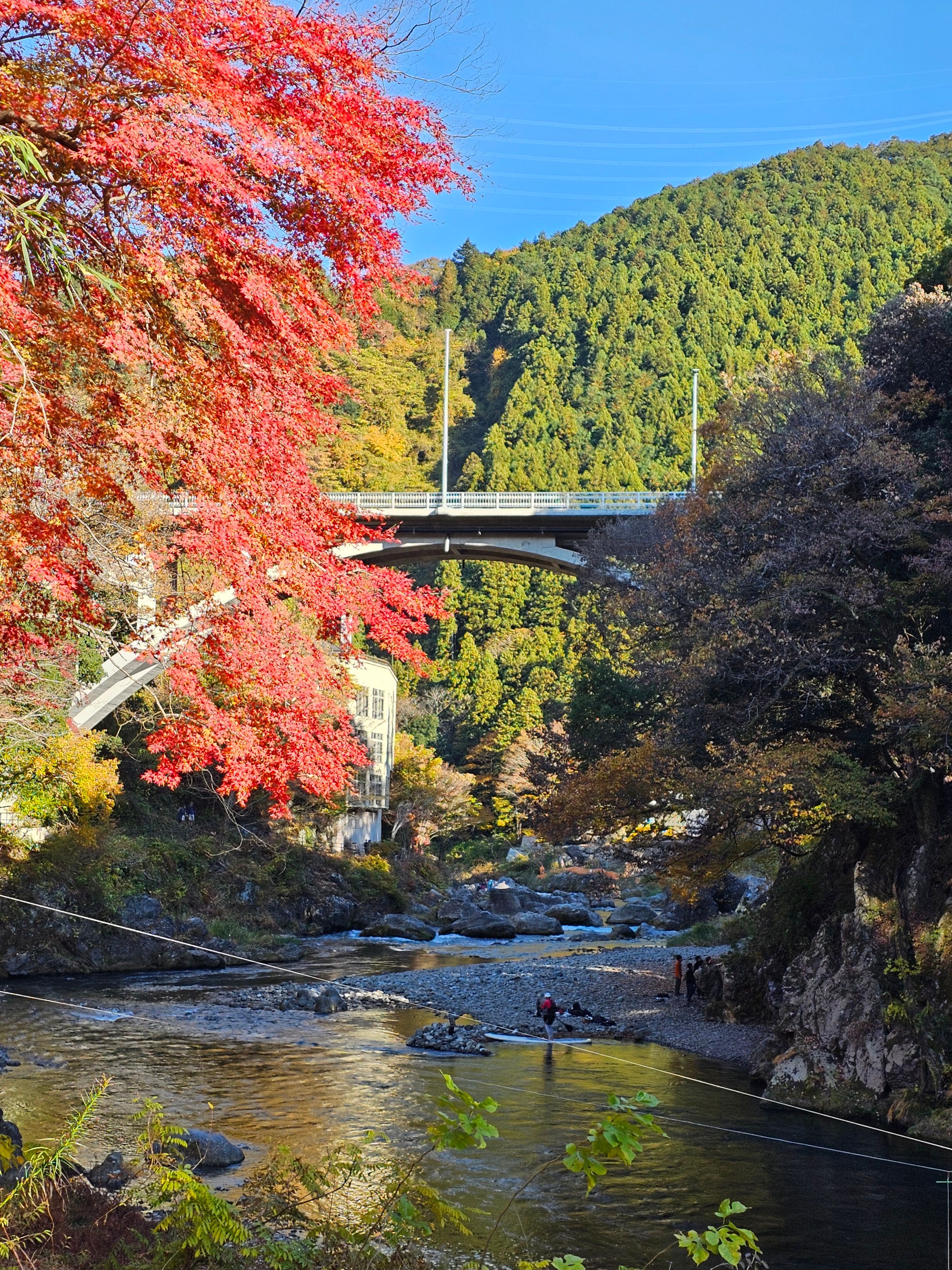 mitake gorge walking trail : November 22 2025