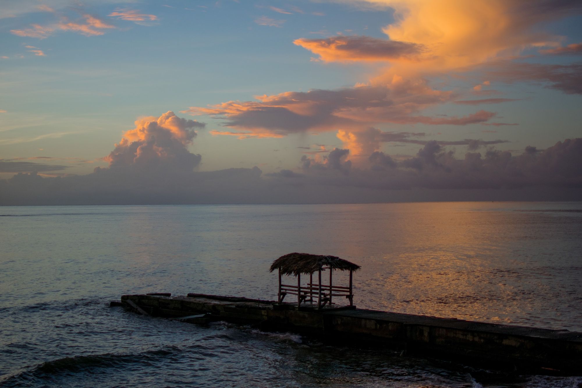 DSC_0562.jpg