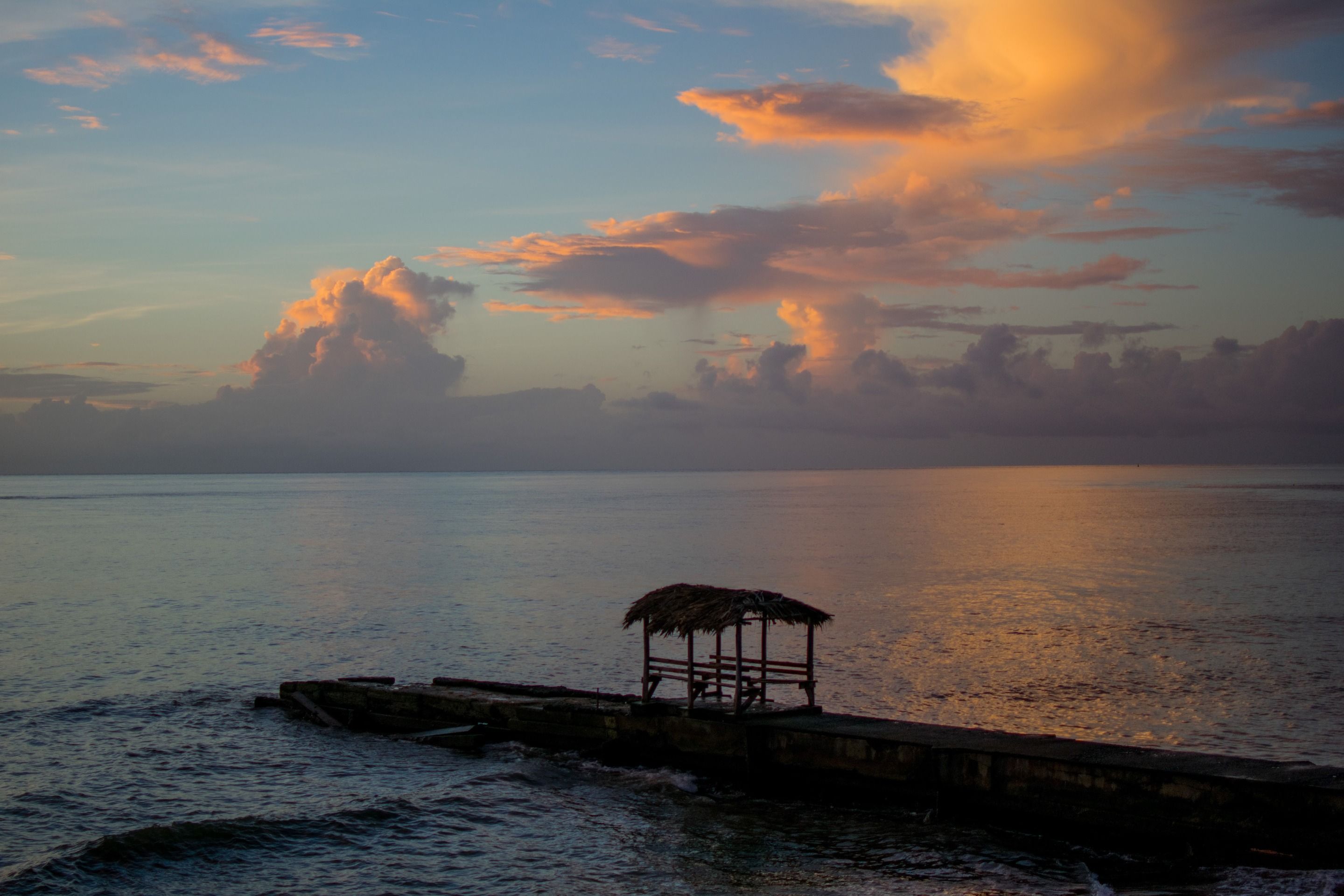 DSC_0562.jpg