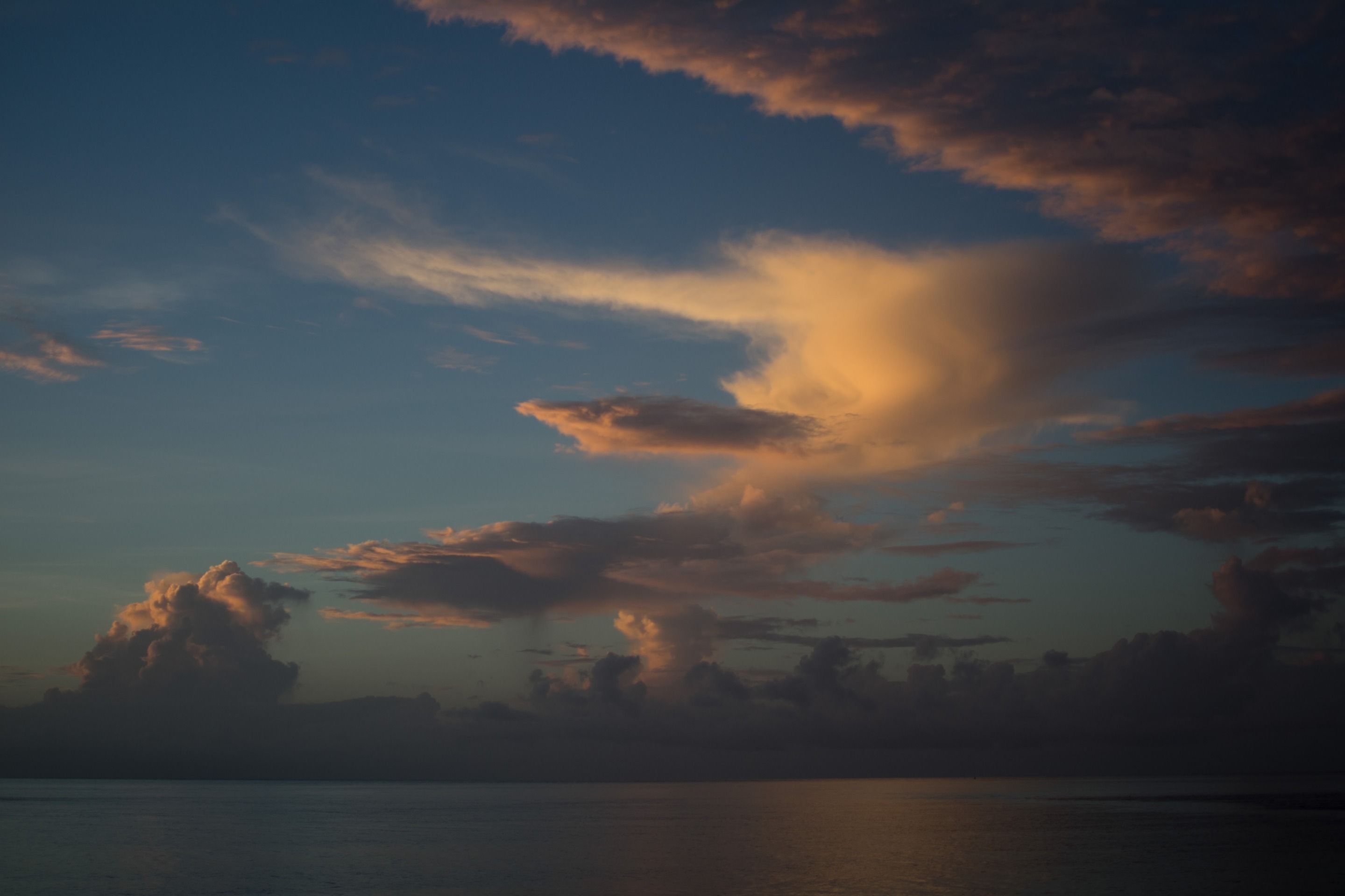 DSC_0564.jpg