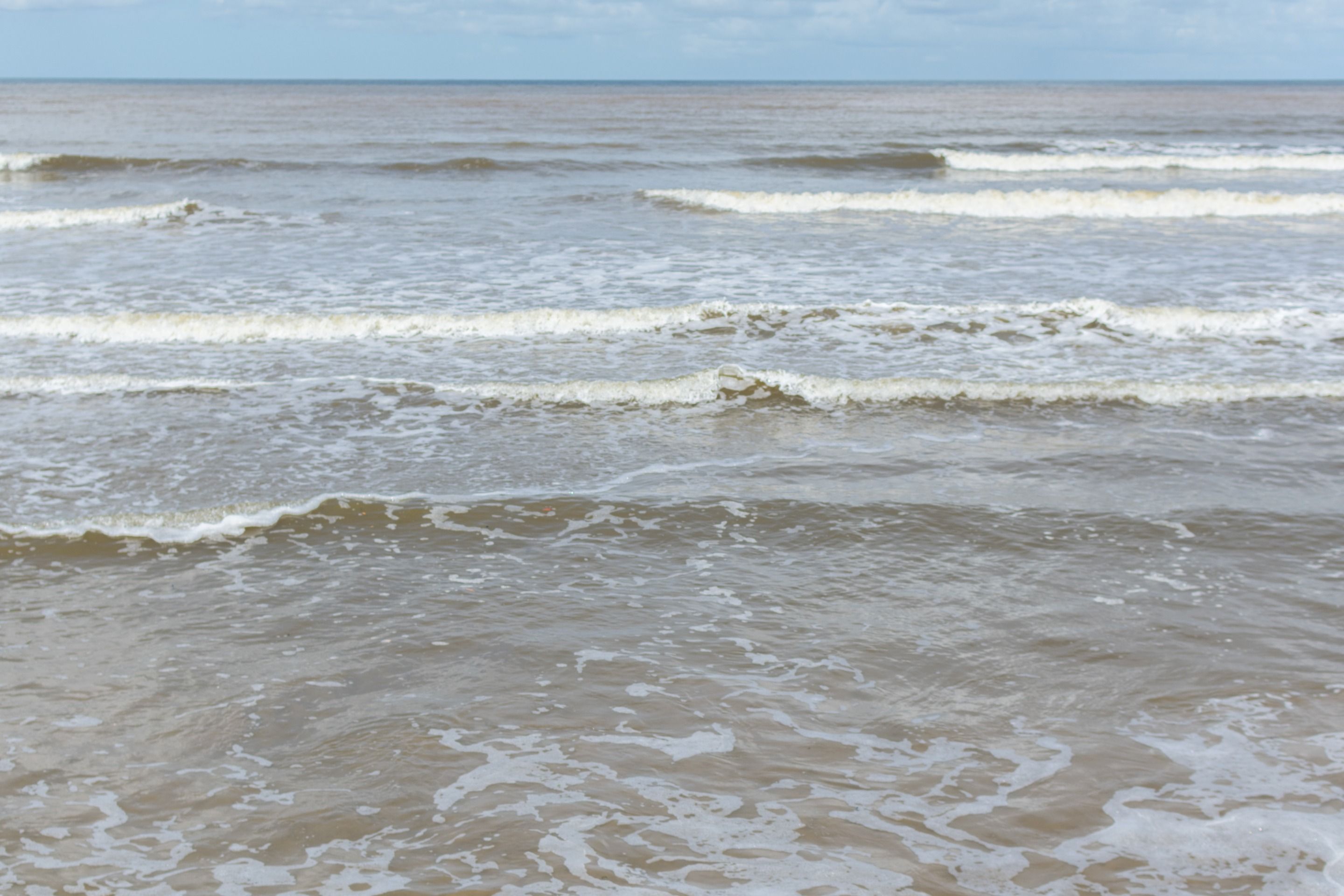 DSC_0057.jpg