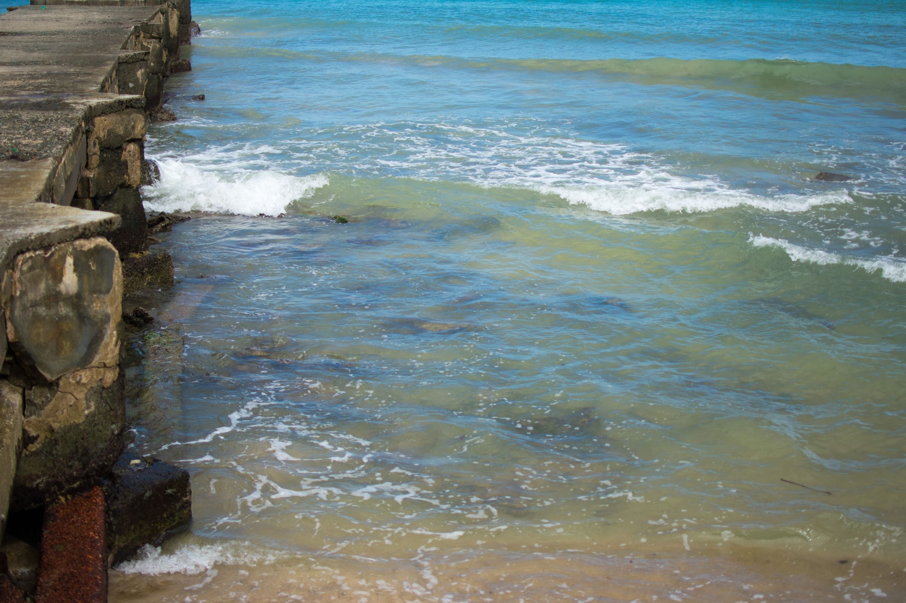 DSC_0458.jpg