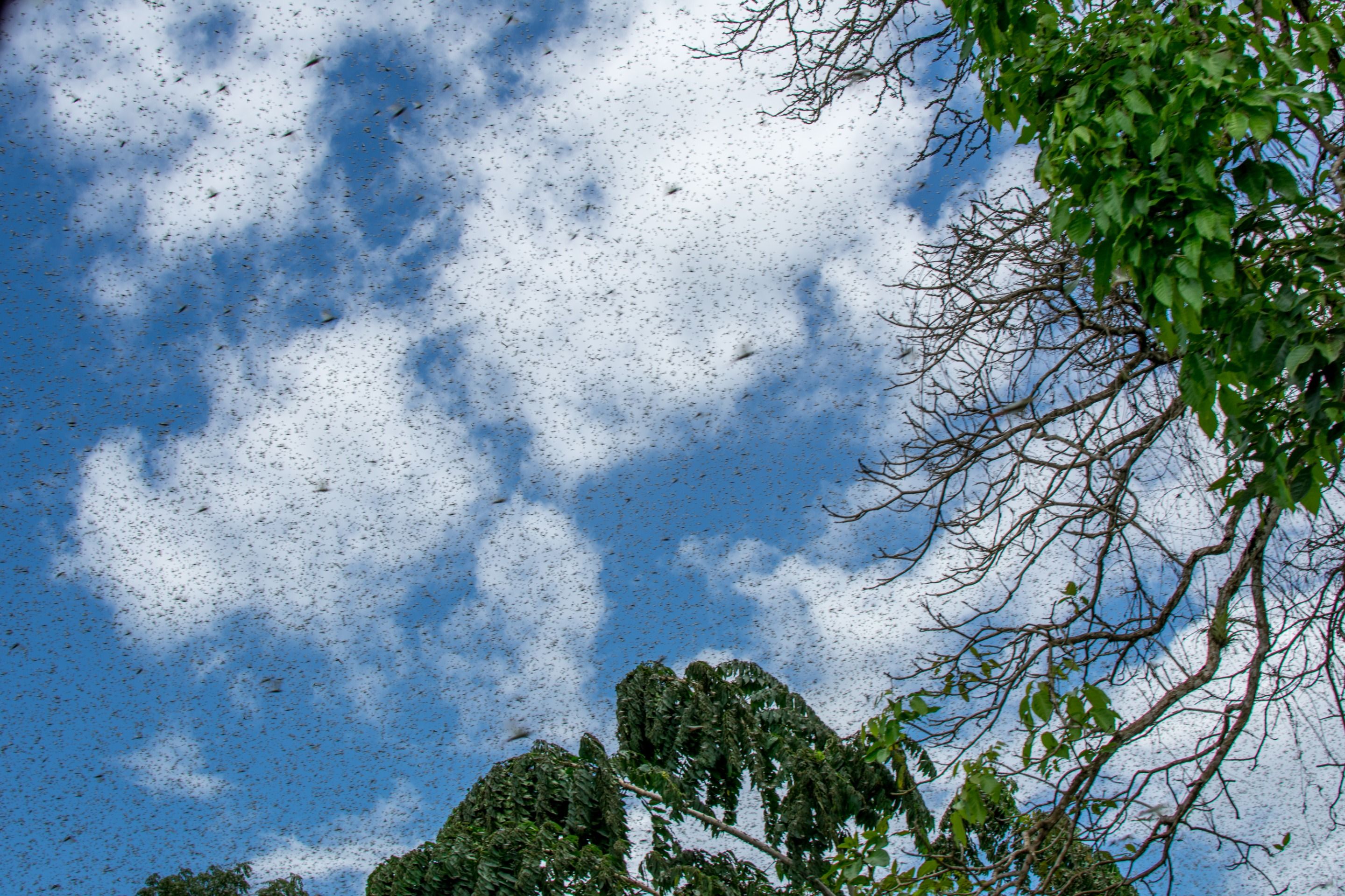 DSC_0035.jpg