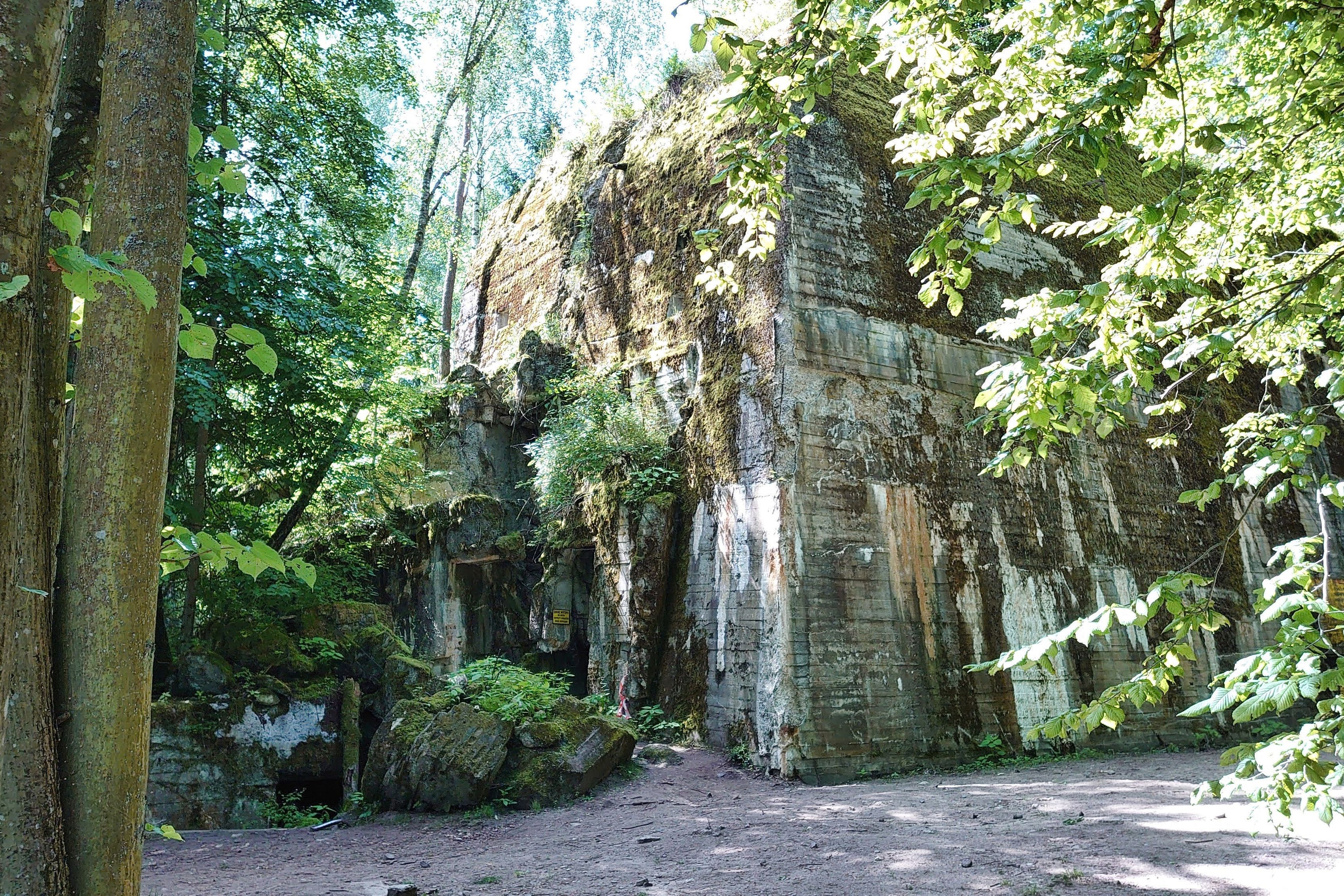 15.jpg