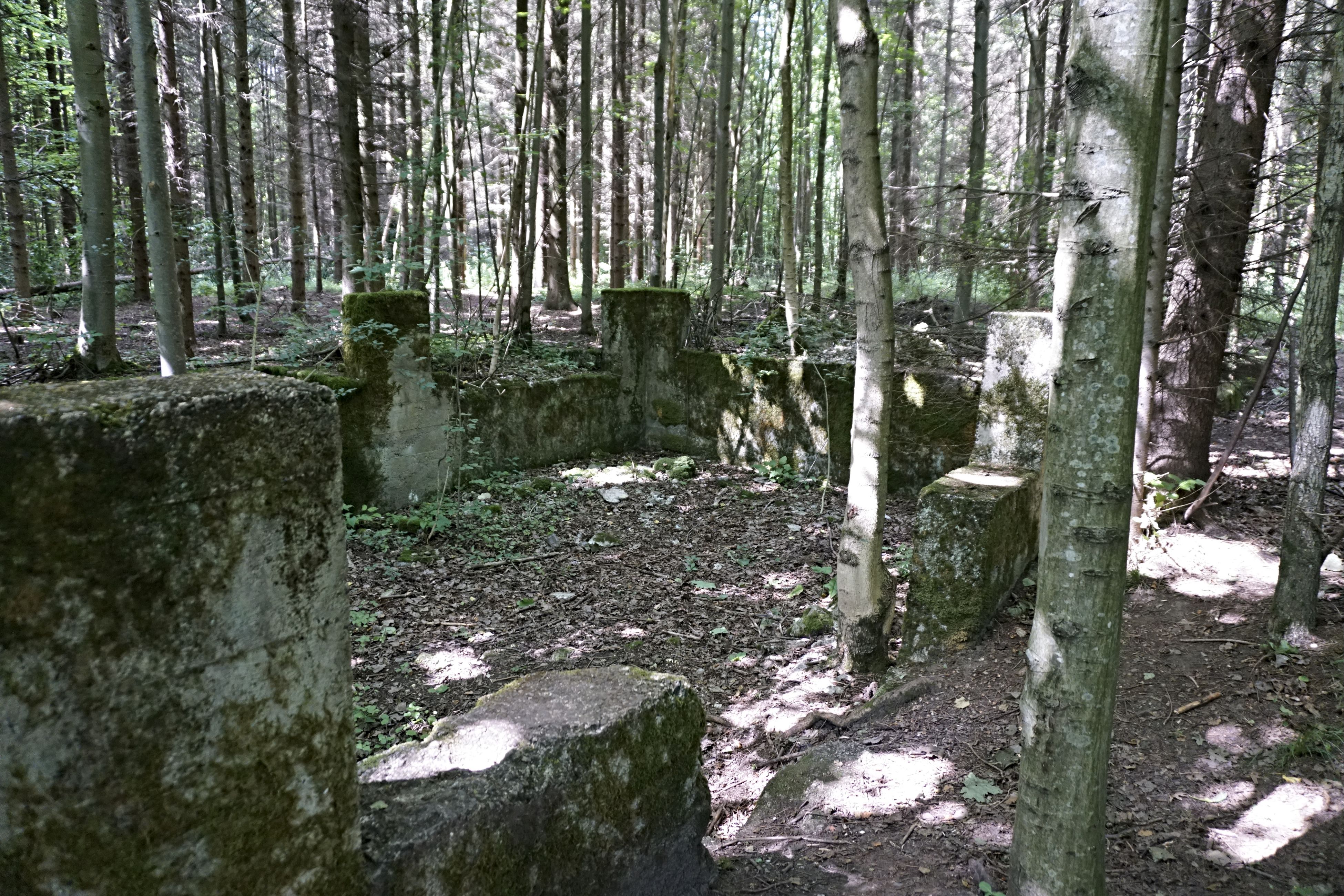 20200714_071.jpg