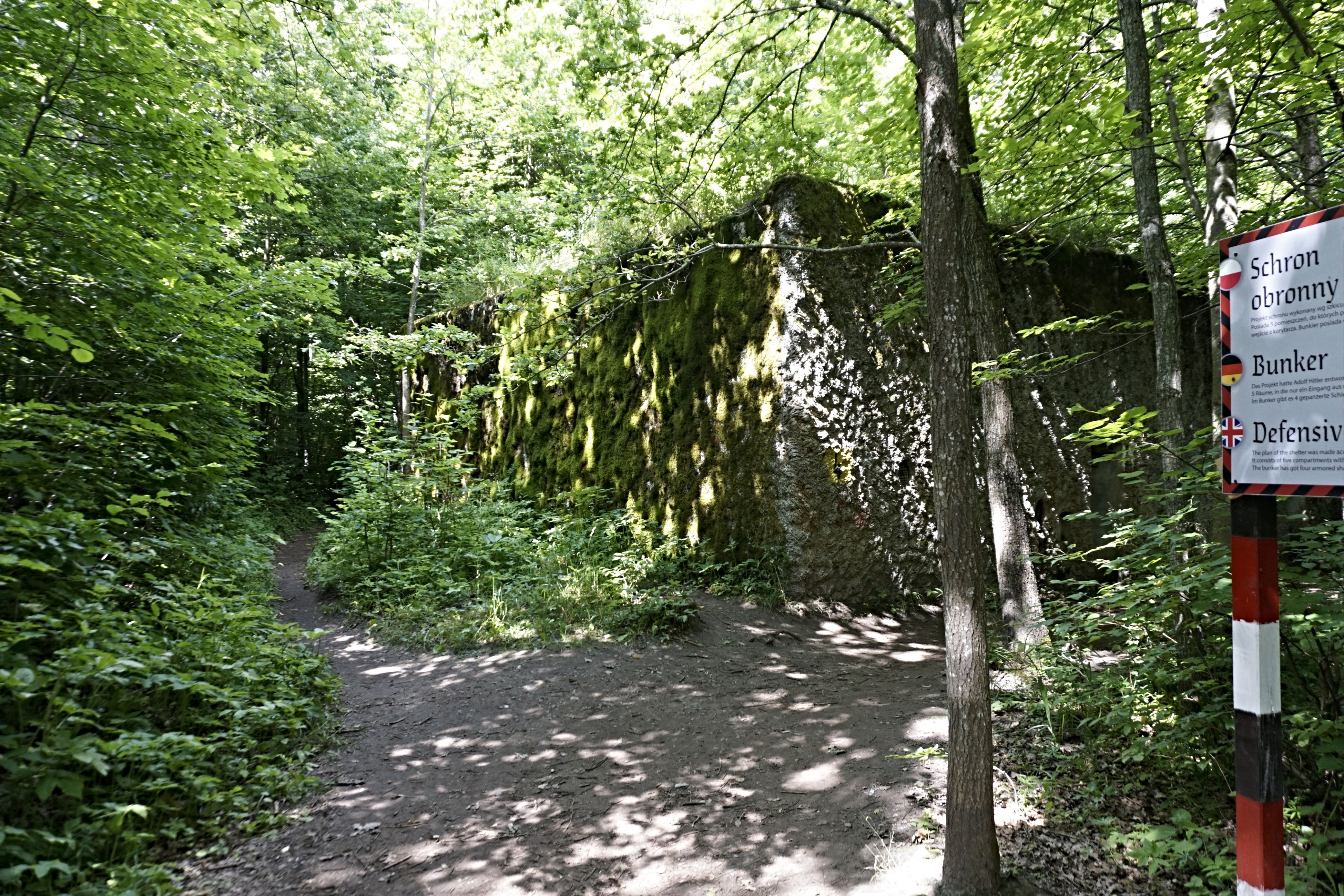 20200714_063.jpg