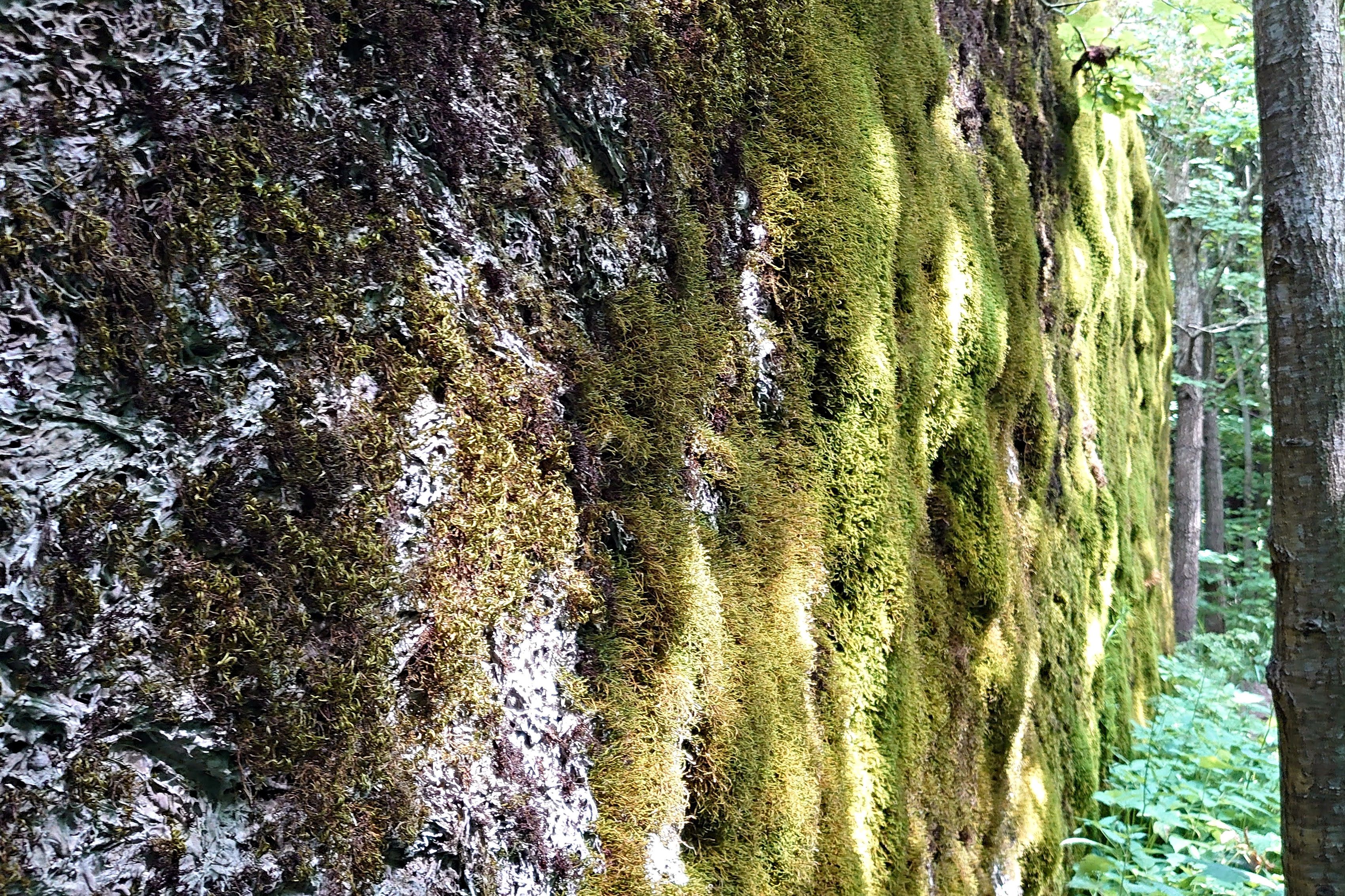 20200714_076.jpg