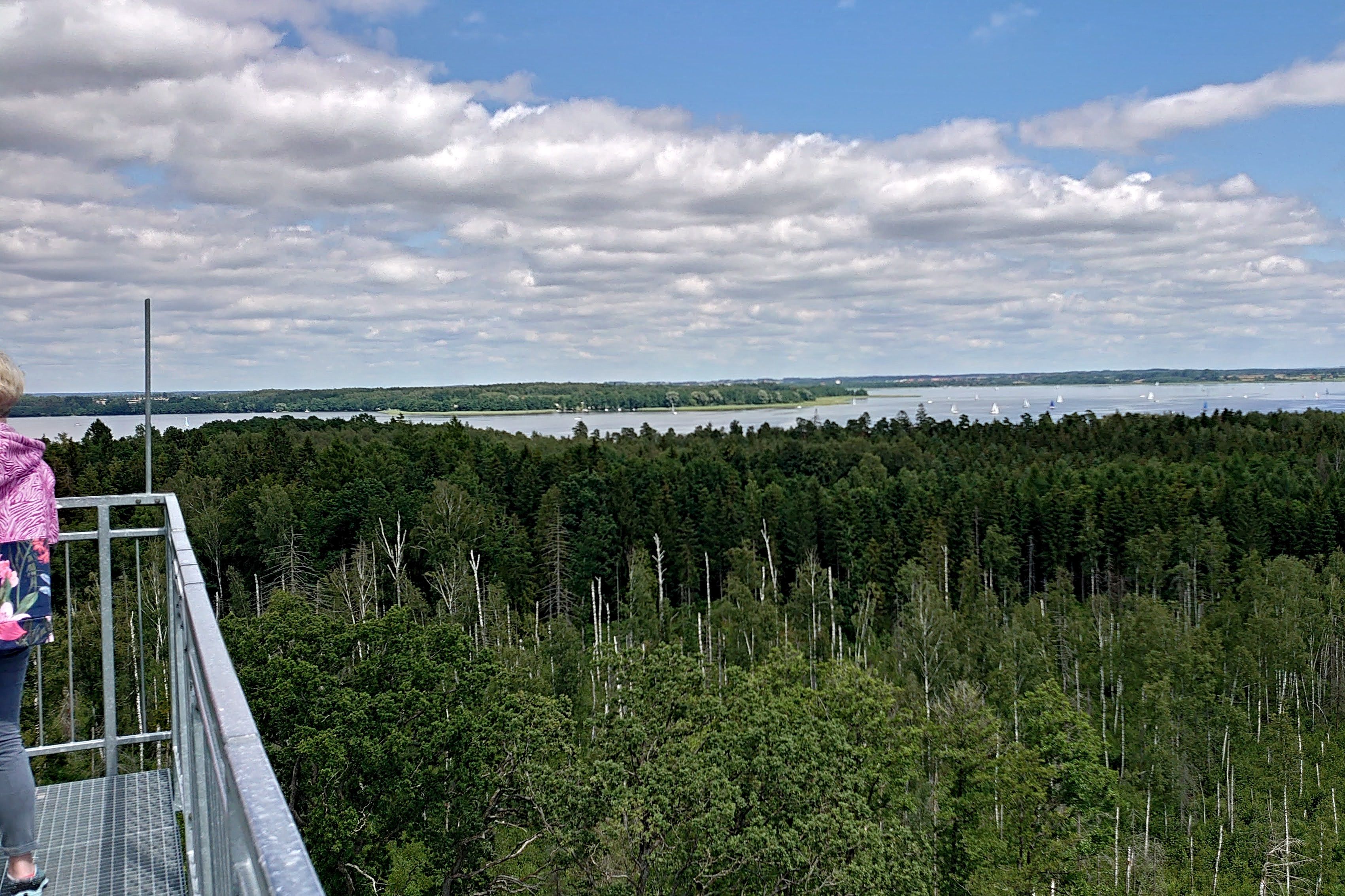 20200714_025.jpg