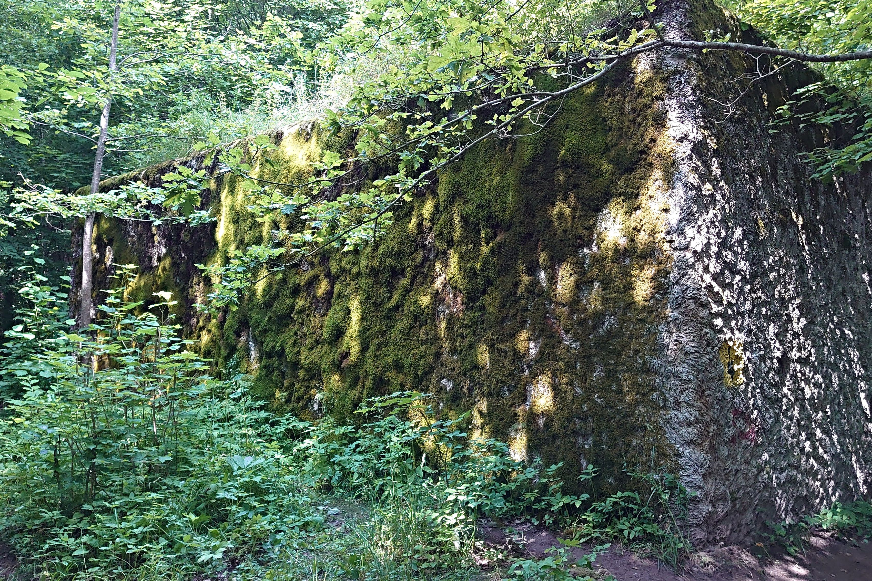 20200714_068.jpg