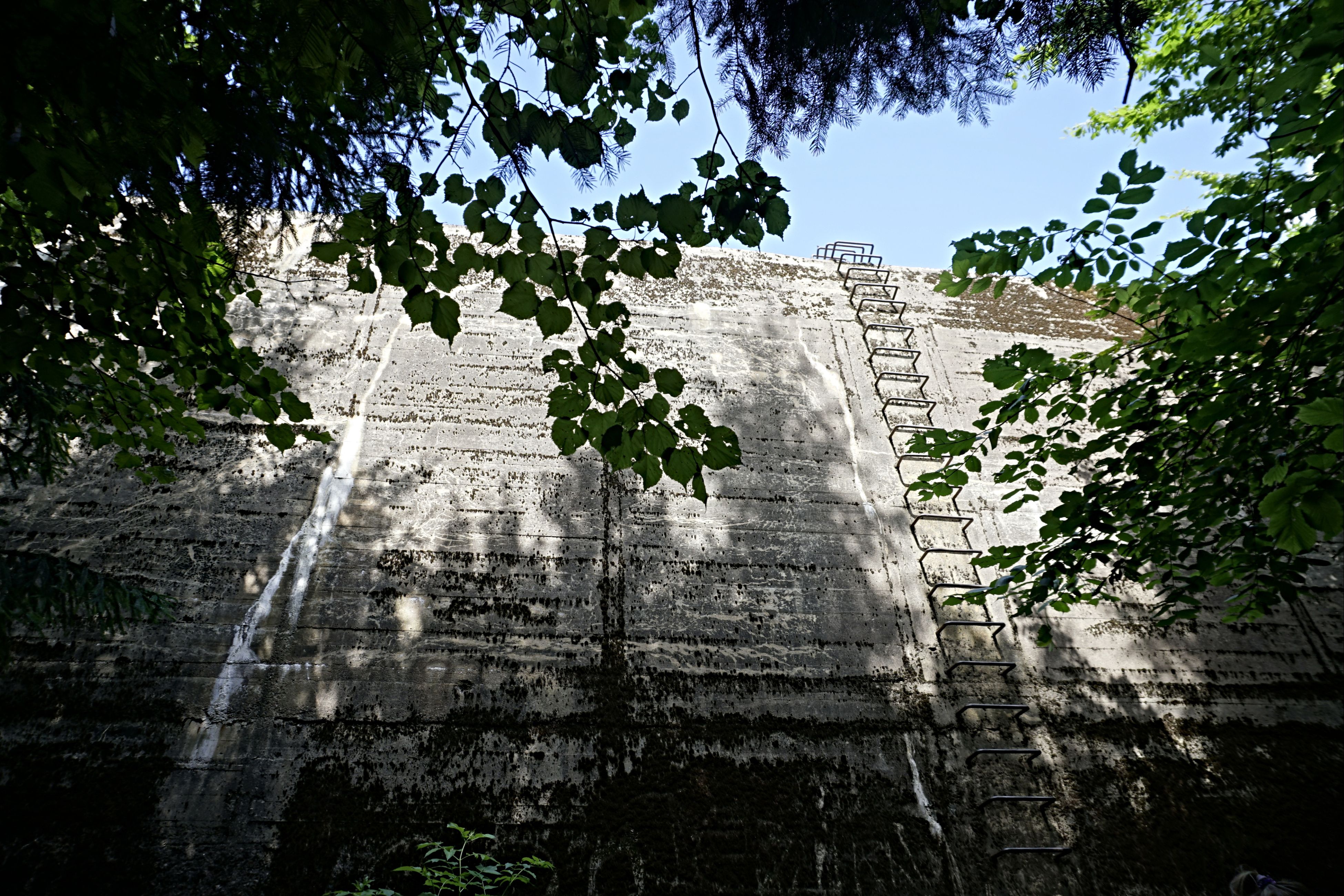 20200714_057.jpg