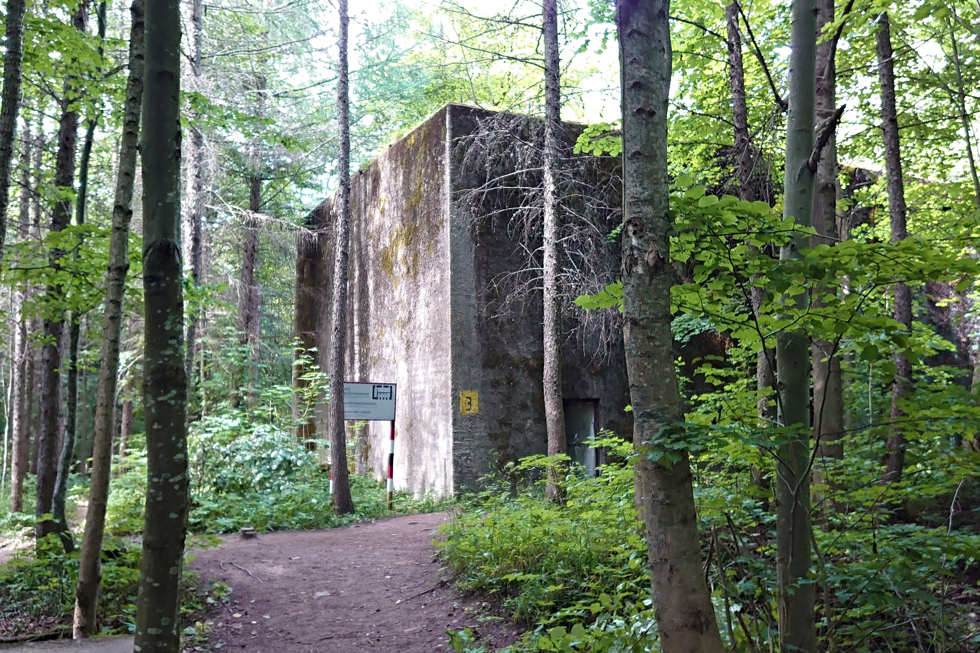 20200714_078.jpg