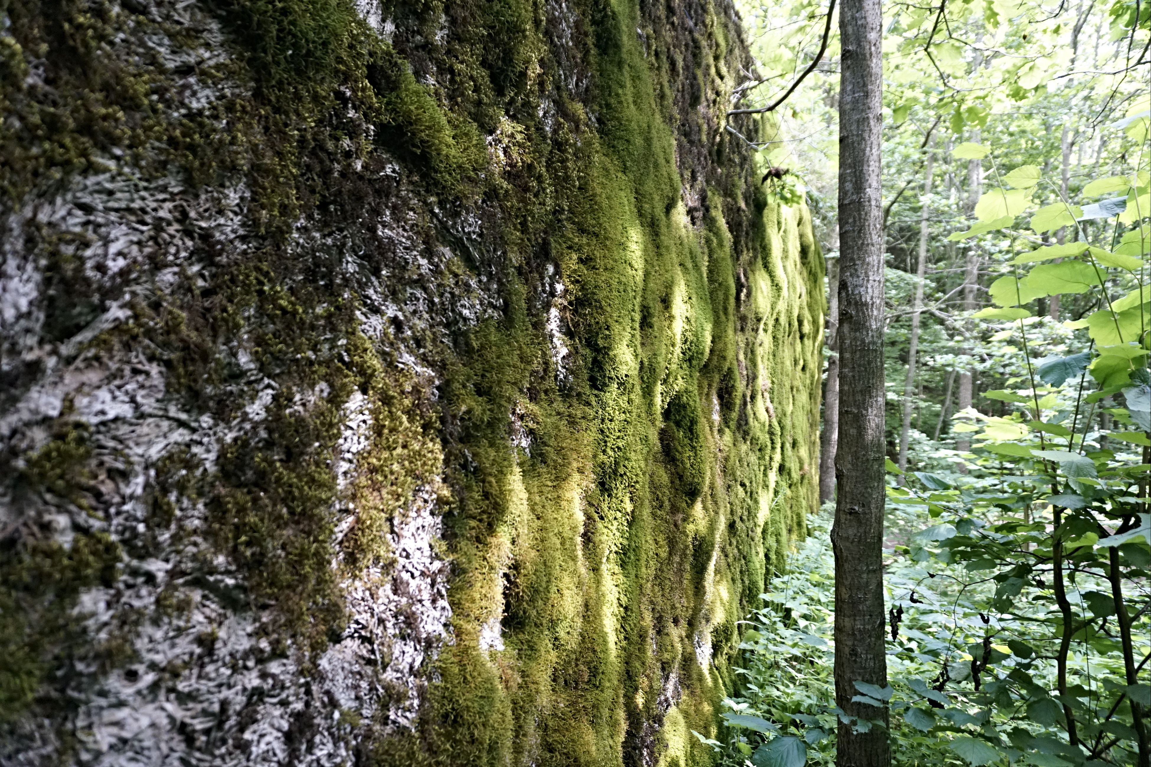 20200714_072.jpg