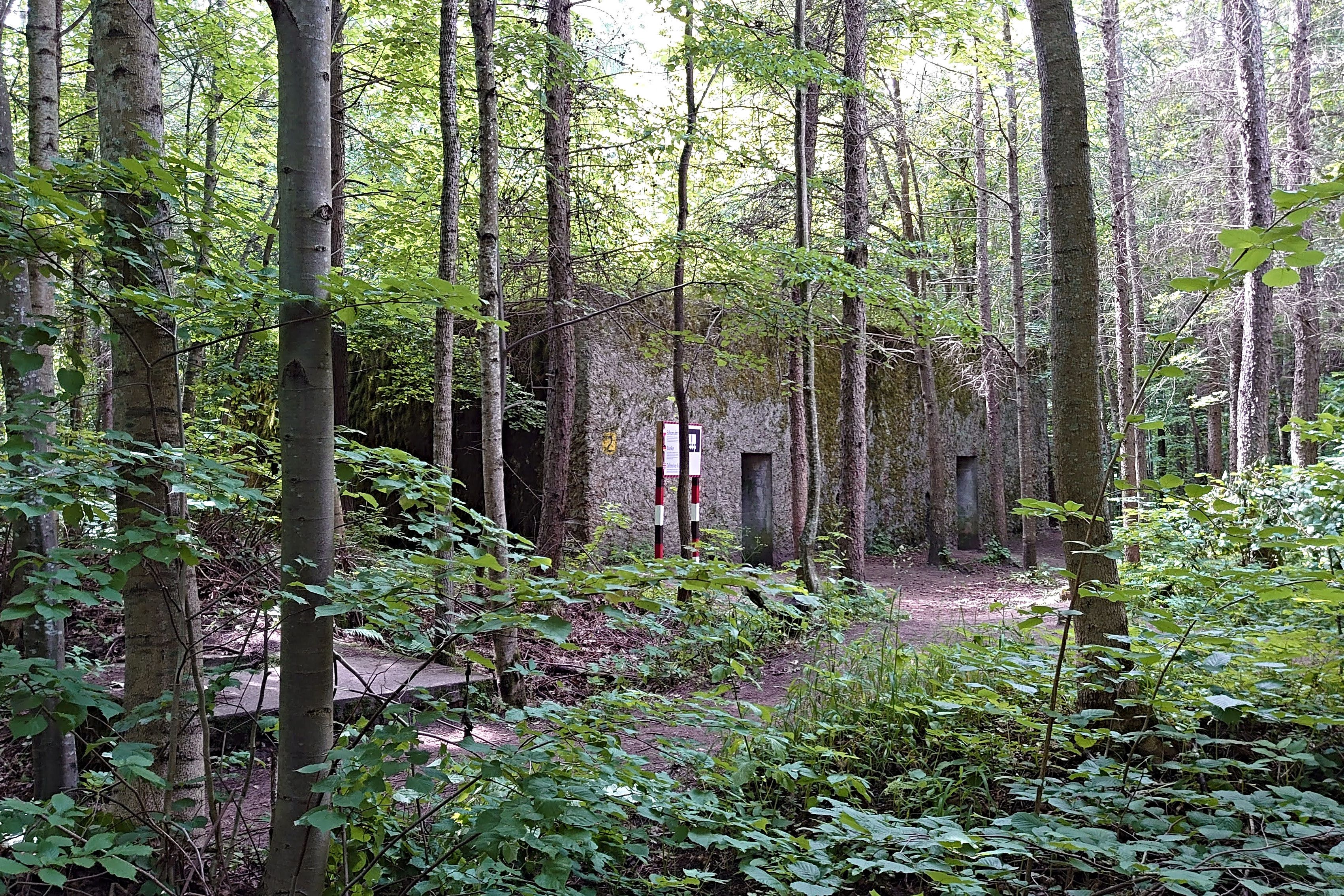 20200714_077.jpg