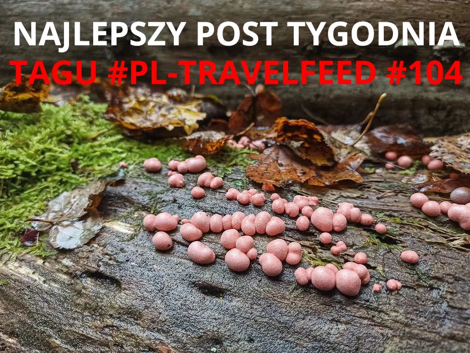 NAJLEPSZY POST TYGODNIA TAGU #PL-TRAVELFEED #104