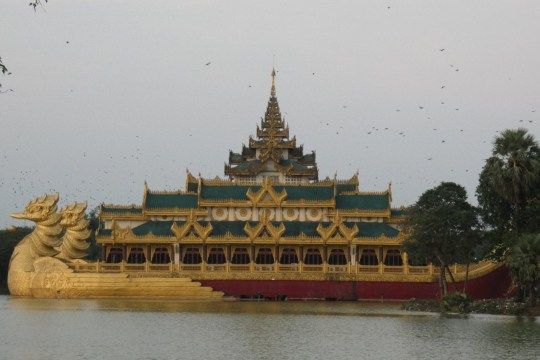 T9604.jpg