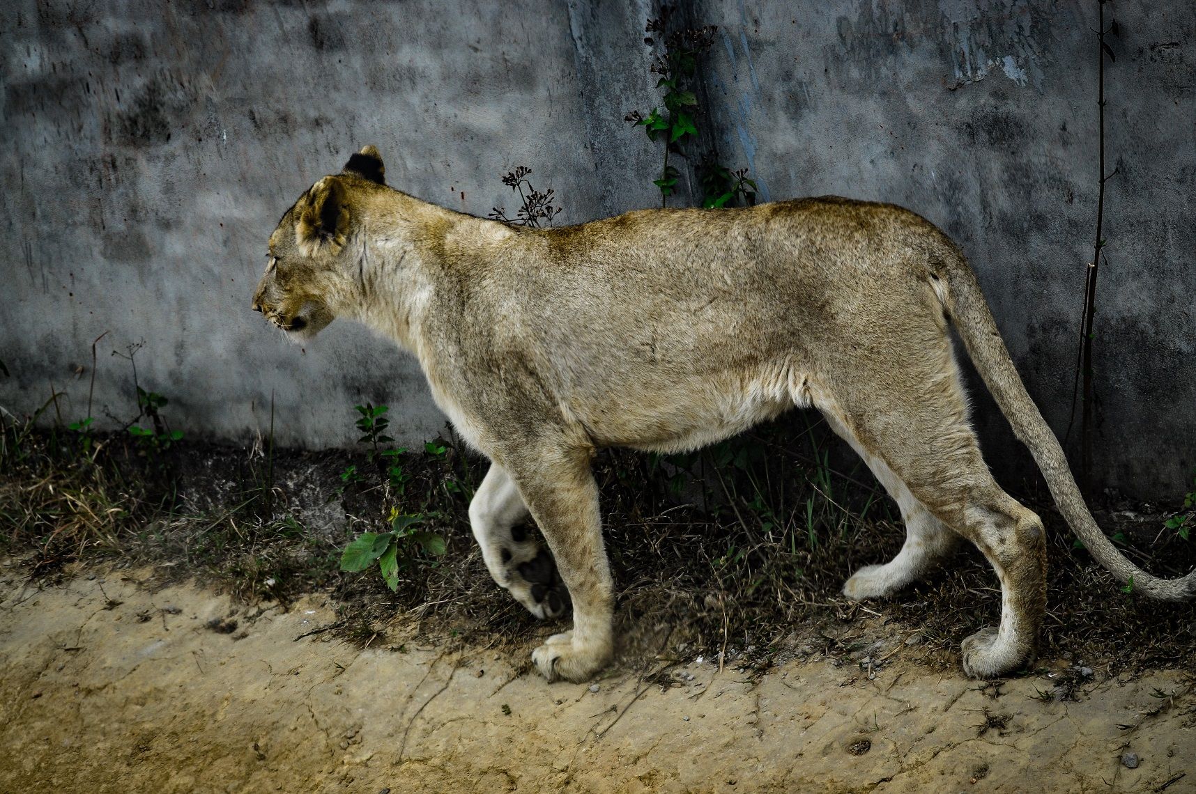 DSC_0813.jpg