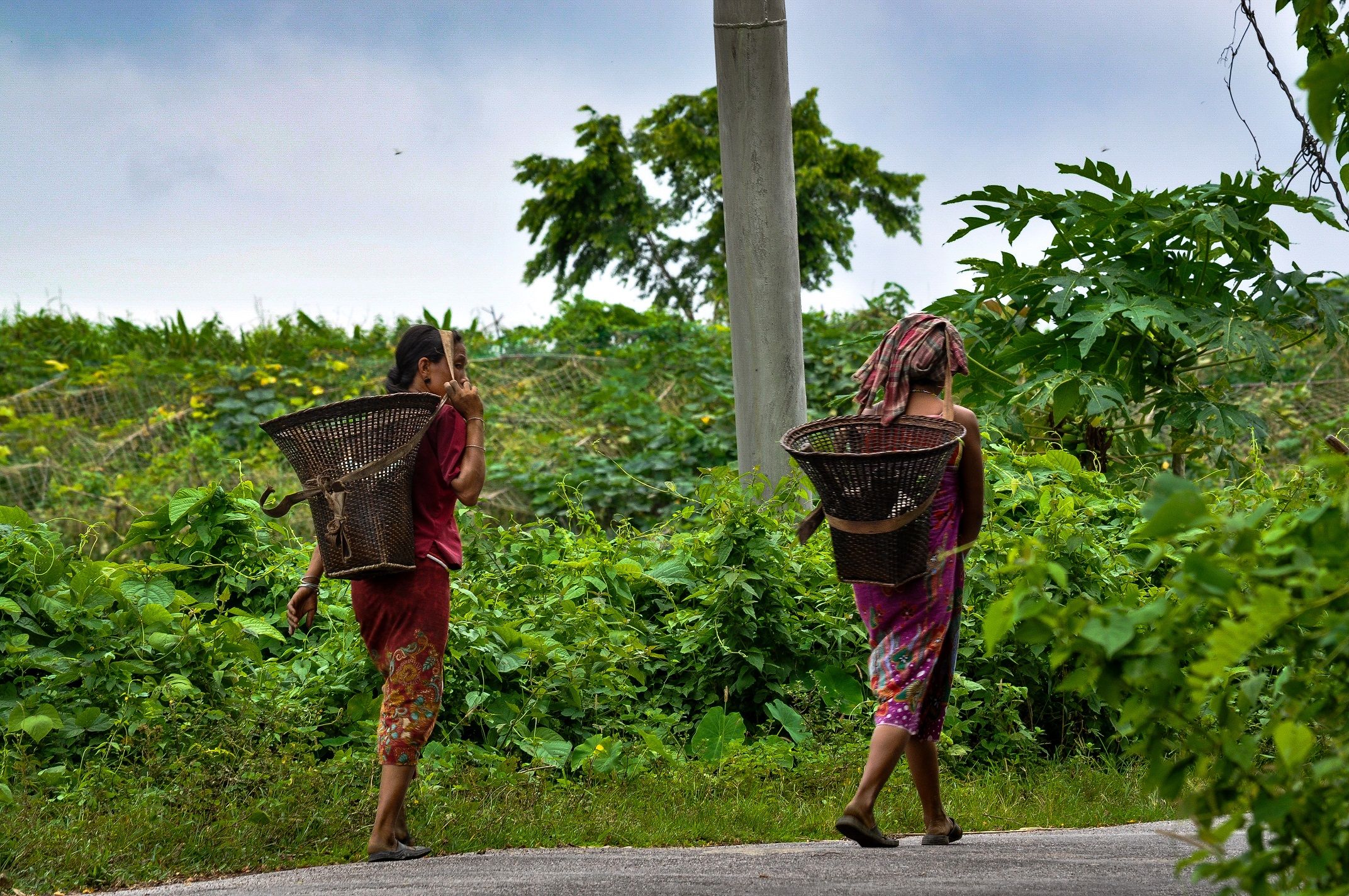" I see people " - Indigenous People || Chittagong Hill Tracts