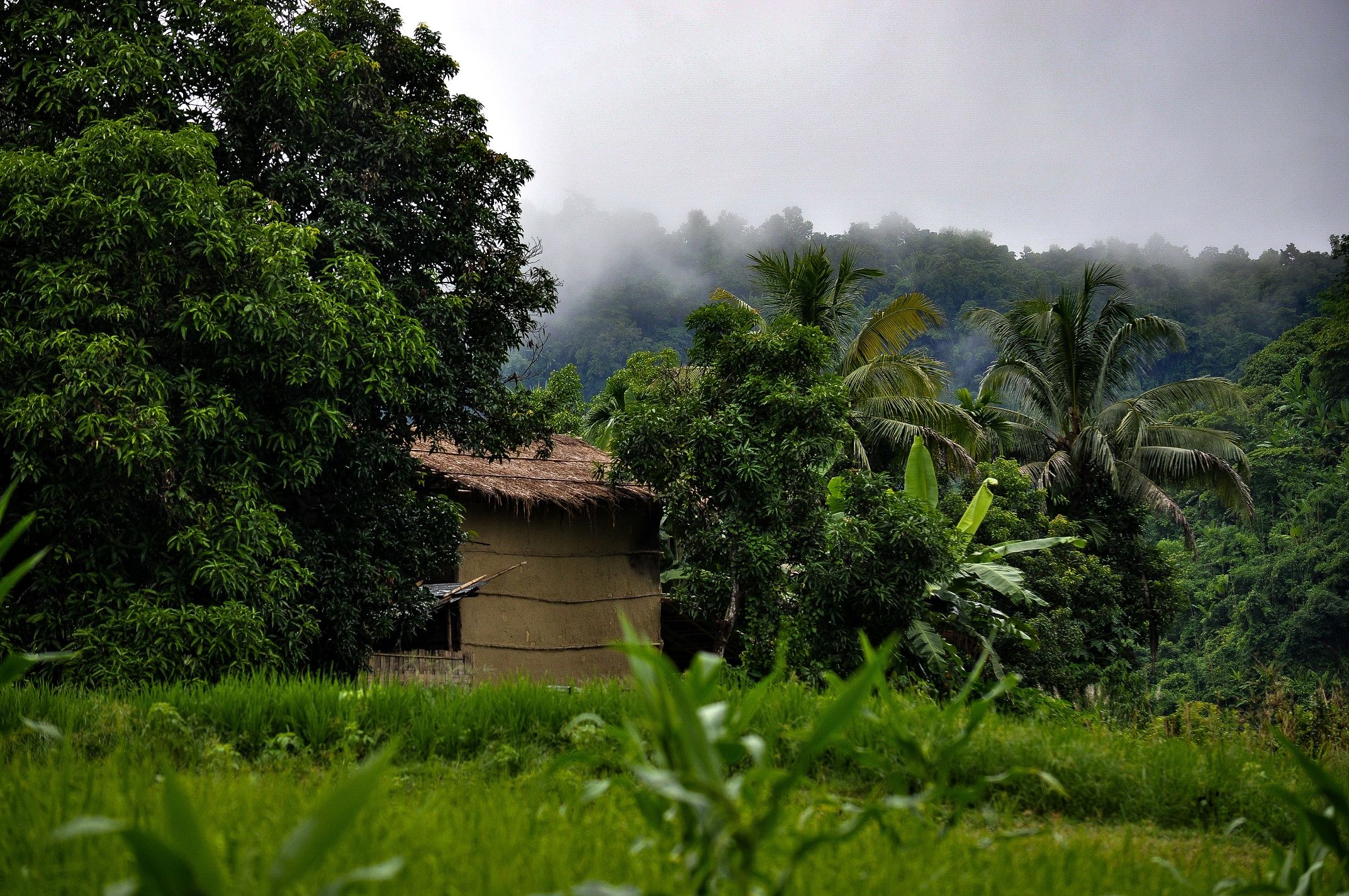 DSC_1766.JPG