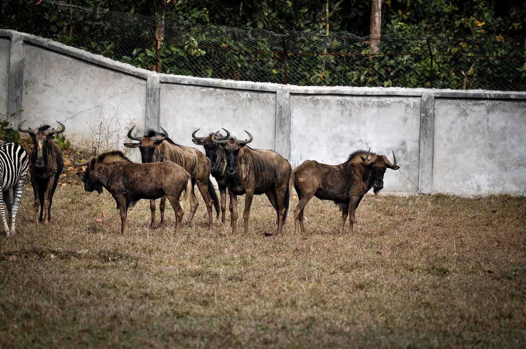 DSC_0822.jpg