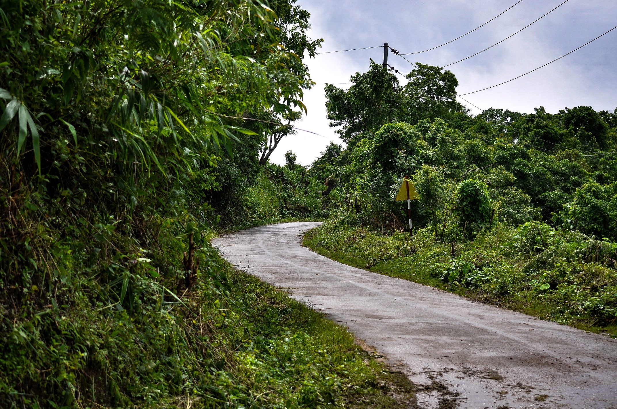 DSC_1489.JPG