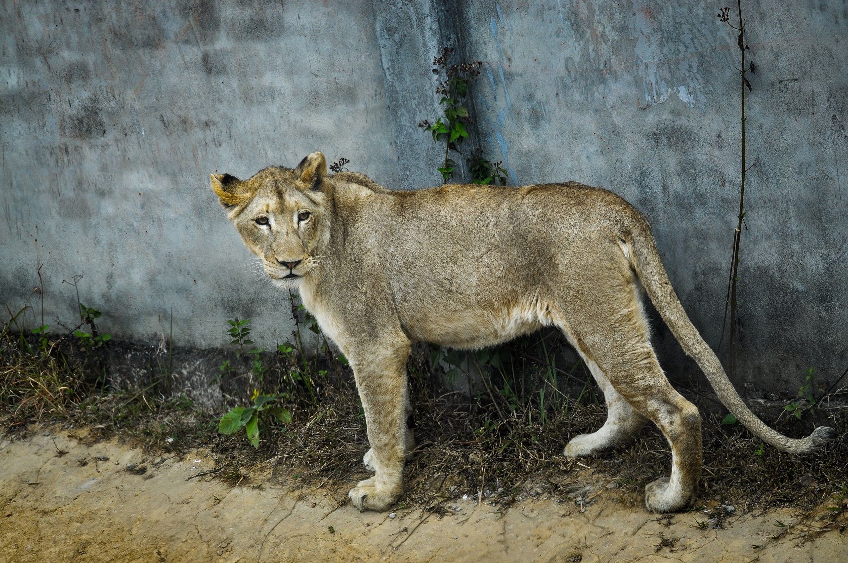 DSC_0812.jpg