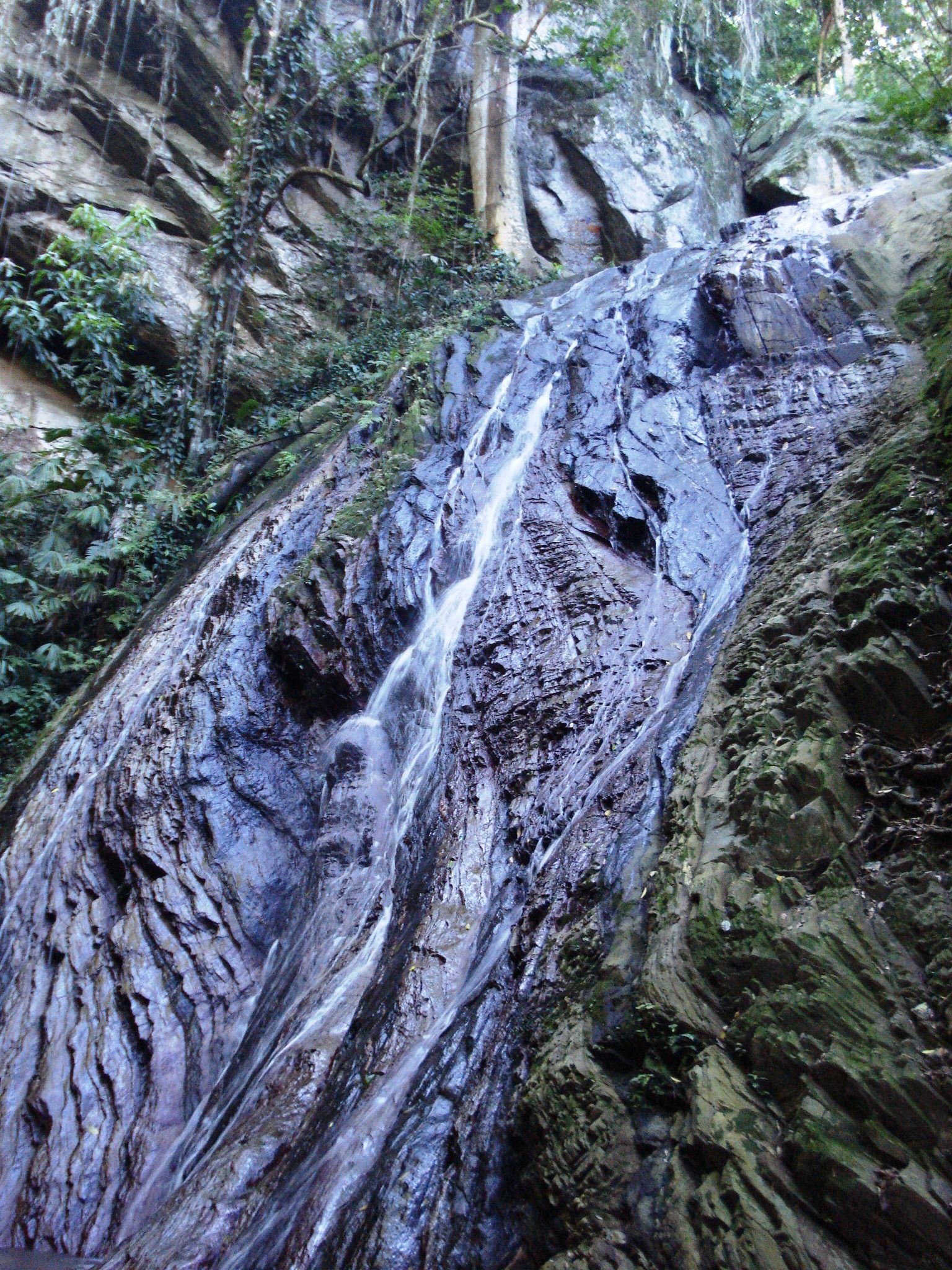DSC05814.JPG