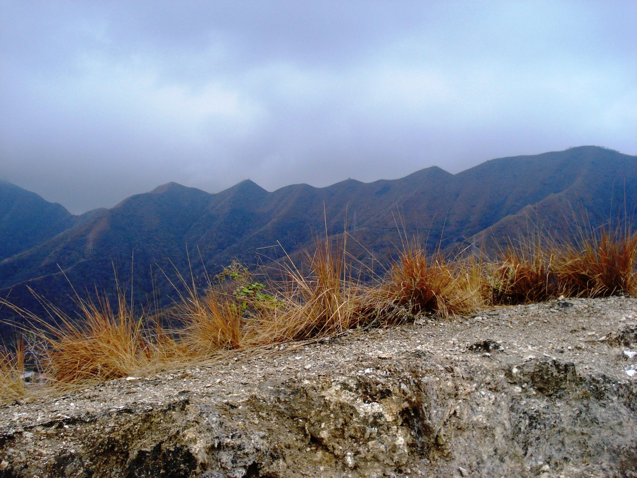 DSC04250.JPG