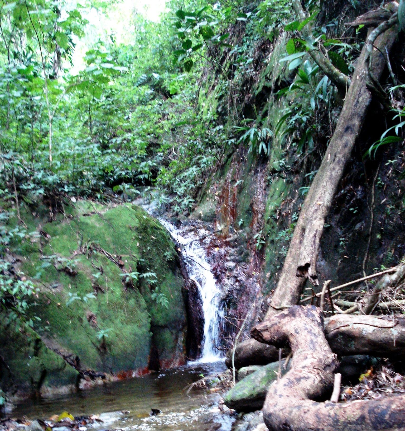 Vuelta de las Quebradas y Piedra del Indio, P.N. Waraira Repano (Venezuela) / Tour of the Streams and Indian Stone, Waraira Repano N.P (Venezuela)