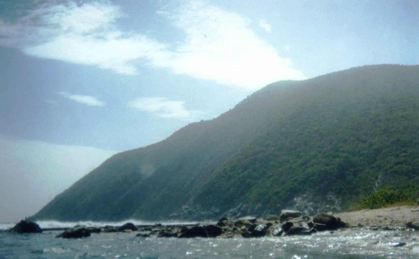 006.jpg