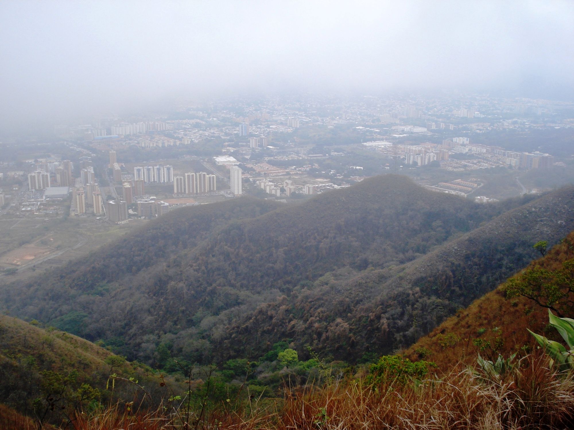 DSC04260.JPG