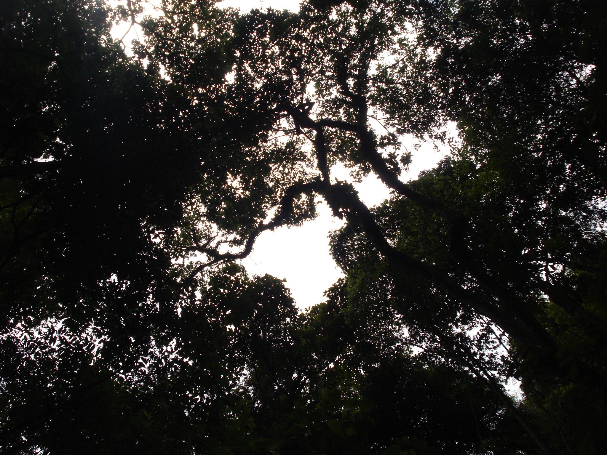 DSC05838.JPG