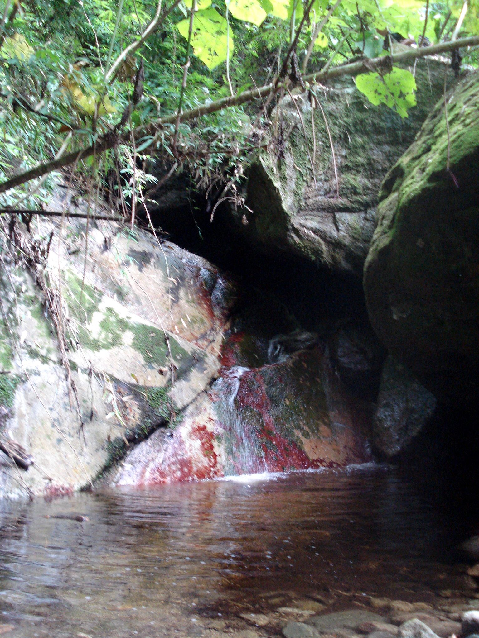 DSC05825.JPG