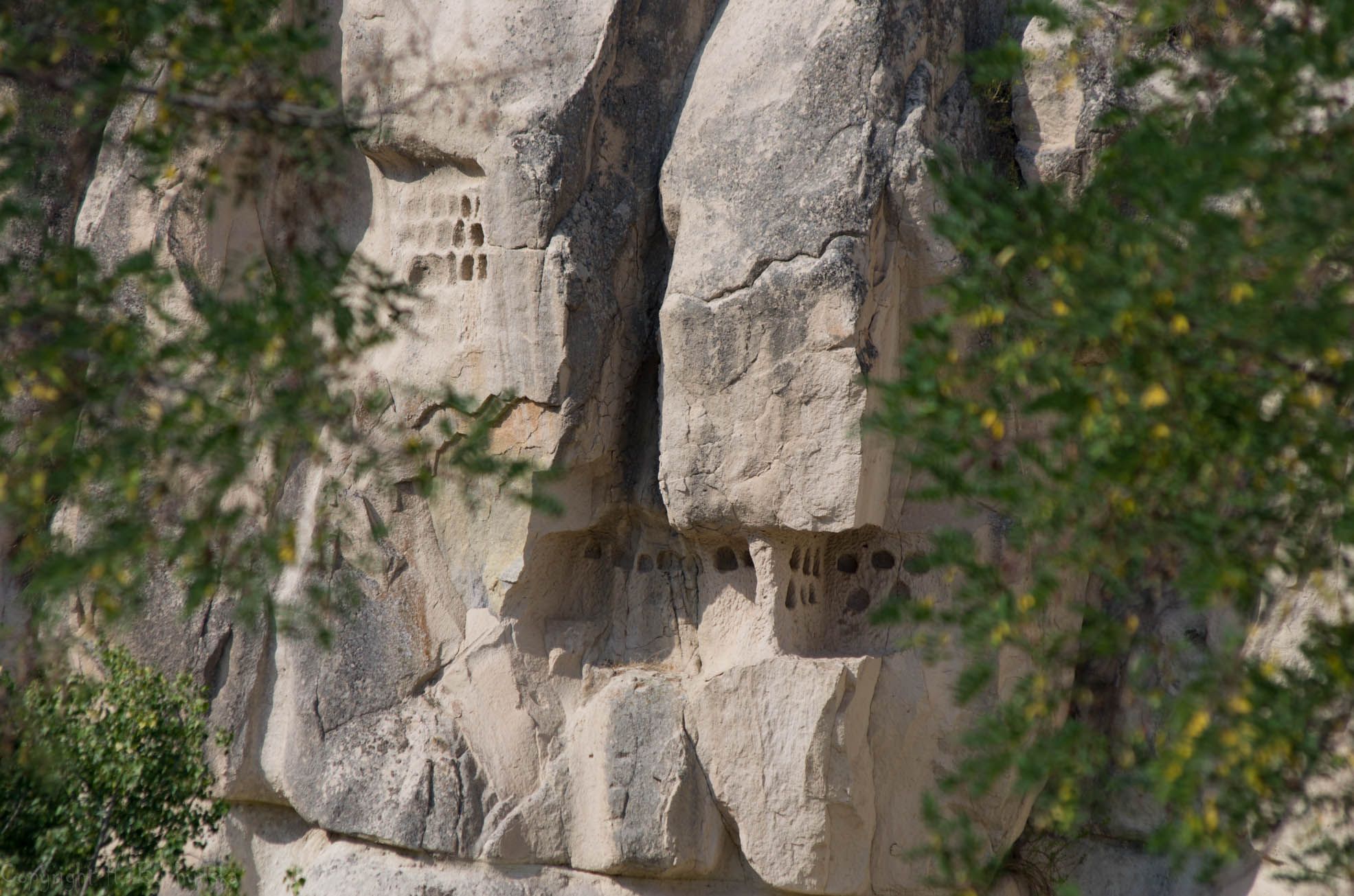 IMGP7276.JPG
