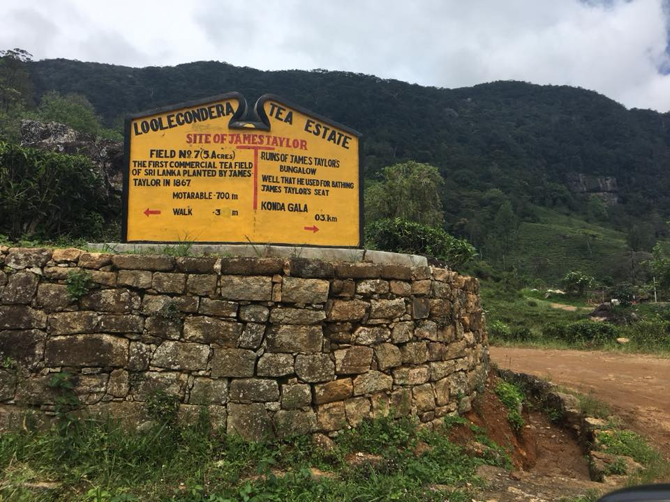 The trip to find fond memories of the beautiful Lulukandura estate and the Kondagala mountain range