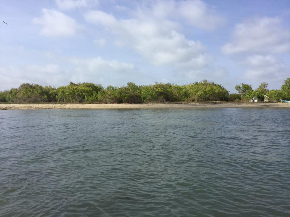 Gange wadiya that boasts a beautiful mangrove environment...