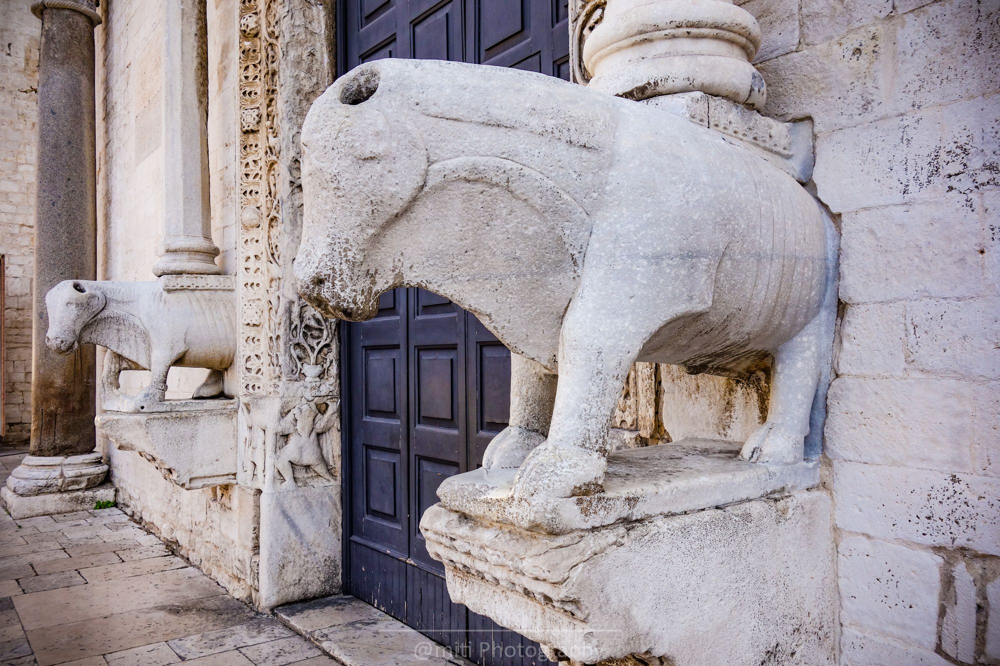 bari17.jpg