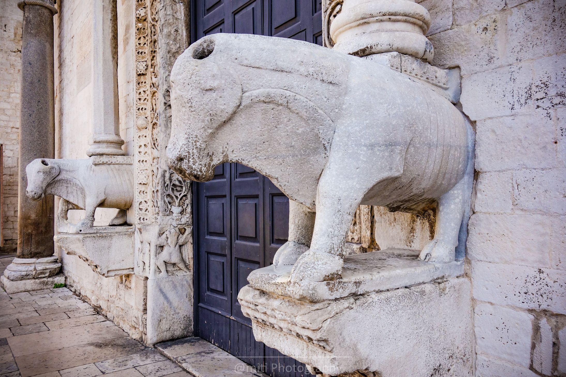 bari17.jpg
