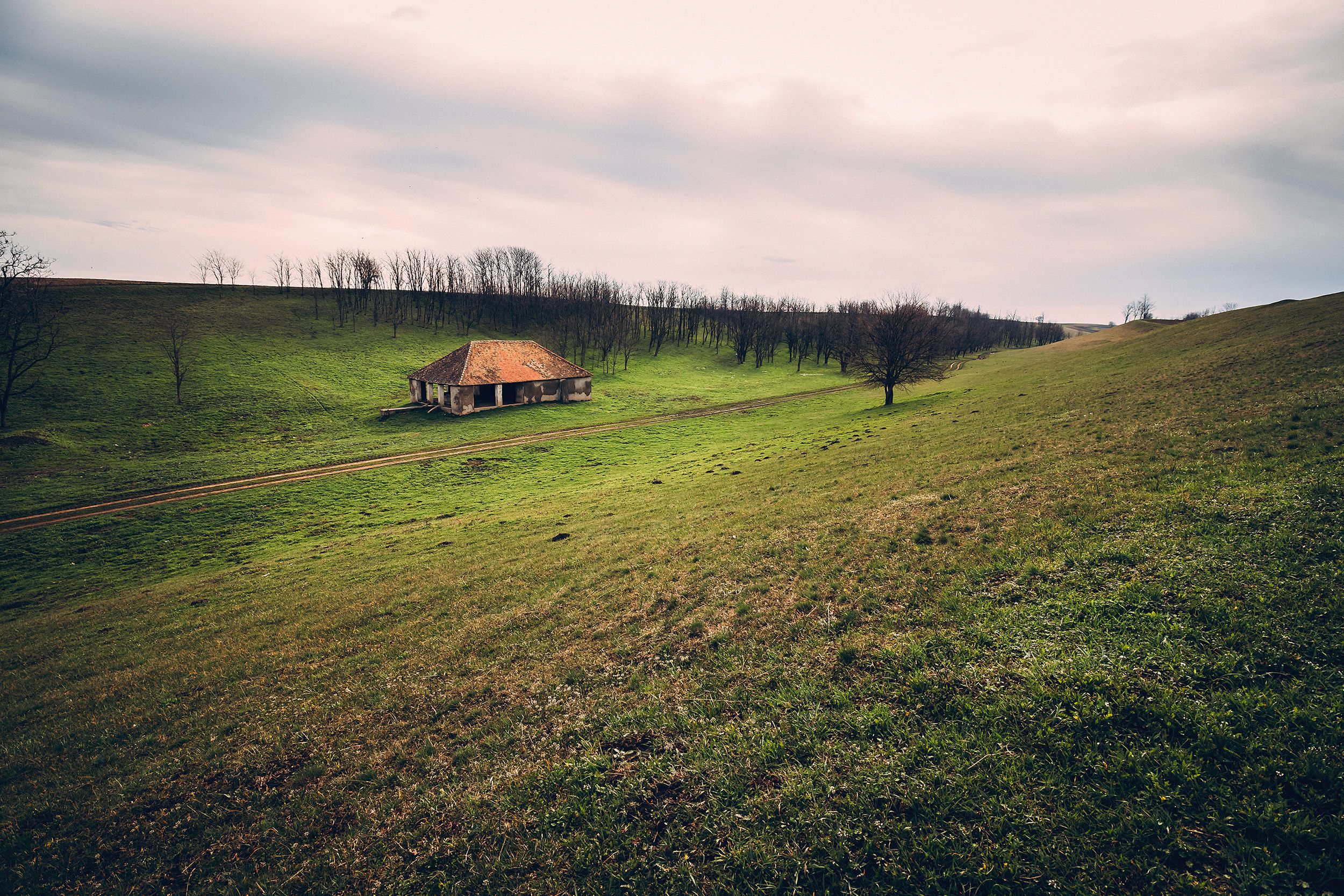 Padina (photo/video story)