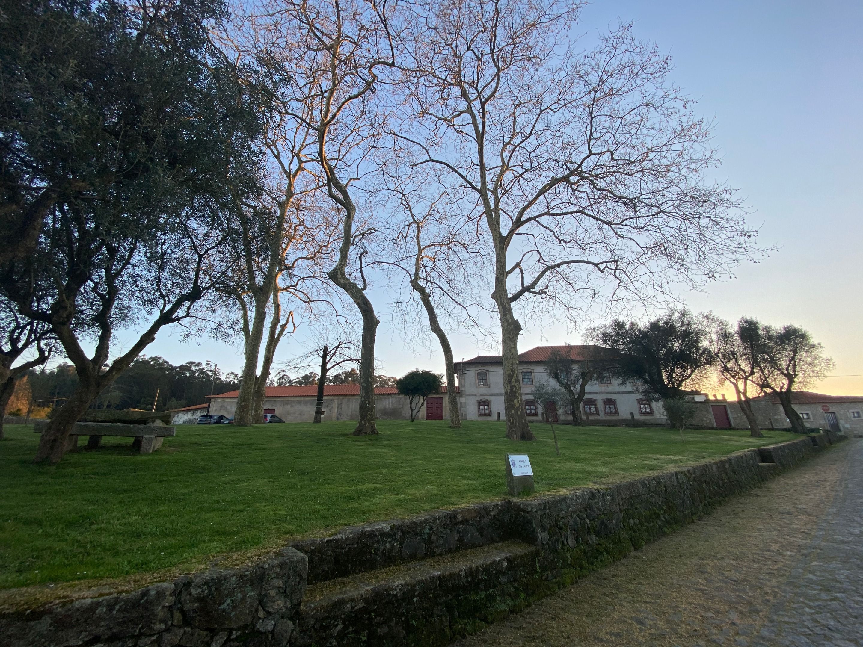 IMG_7772.jpeg