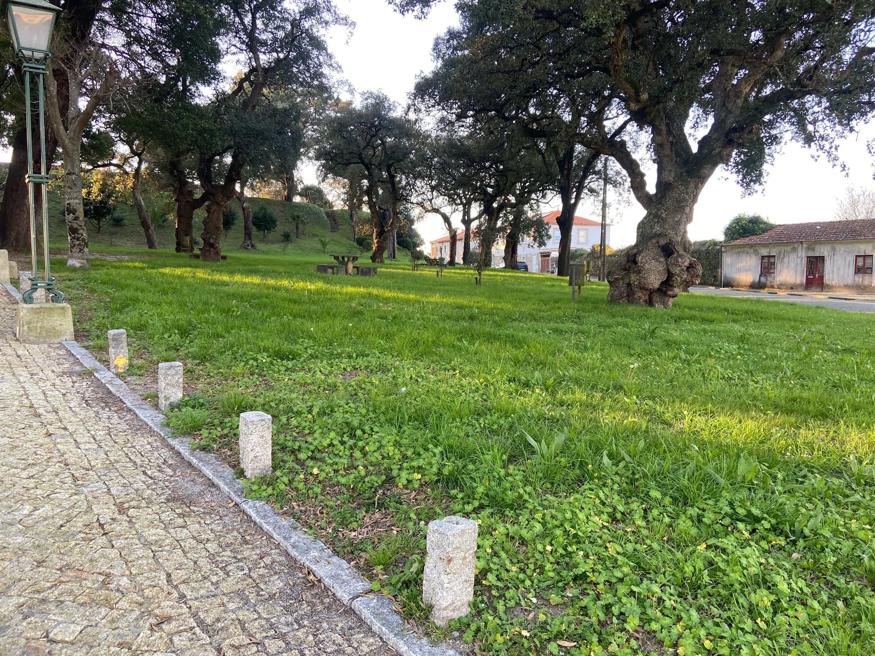IMG_7714.jpeg