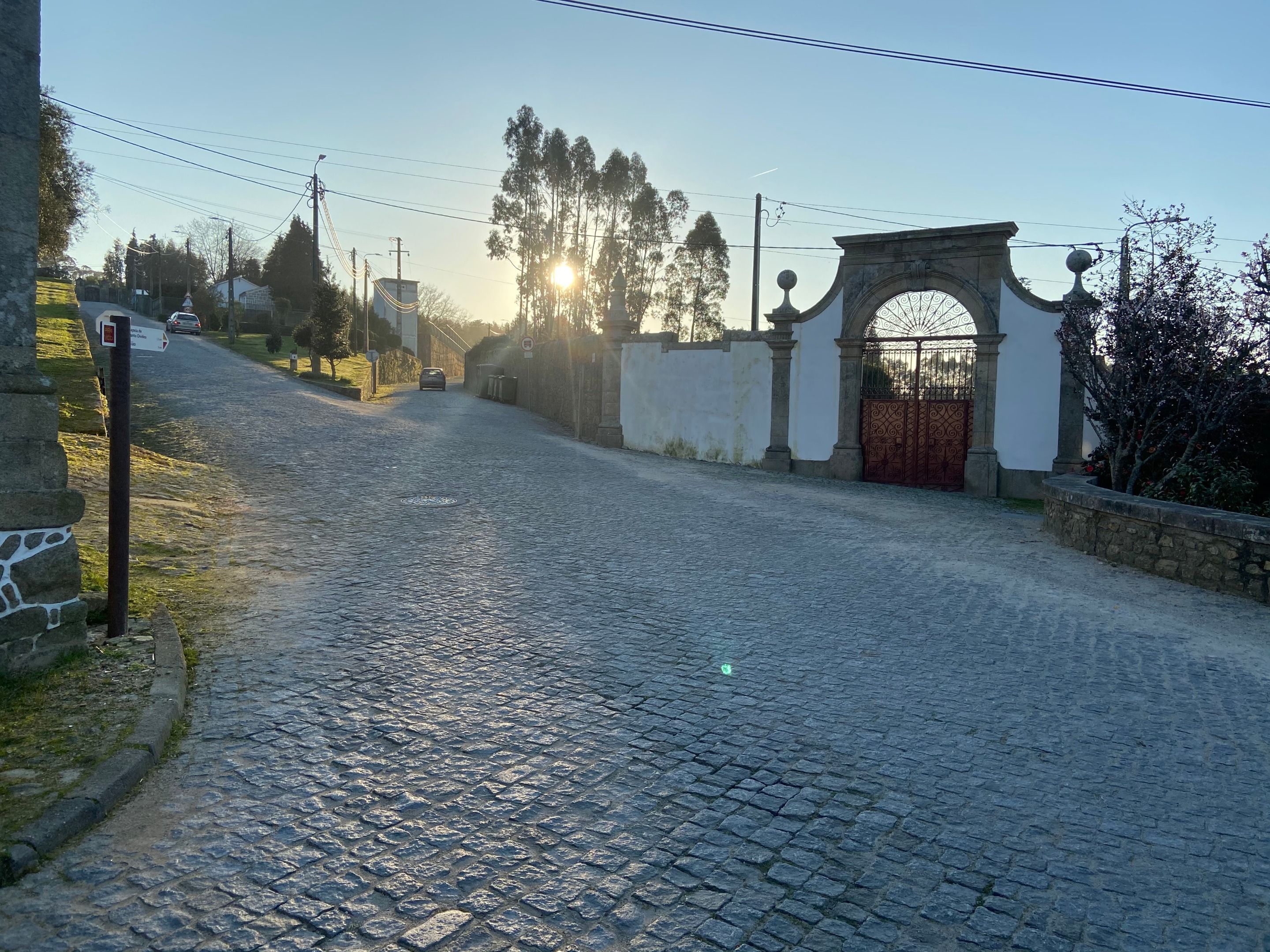 IMG_7718.jpeg
