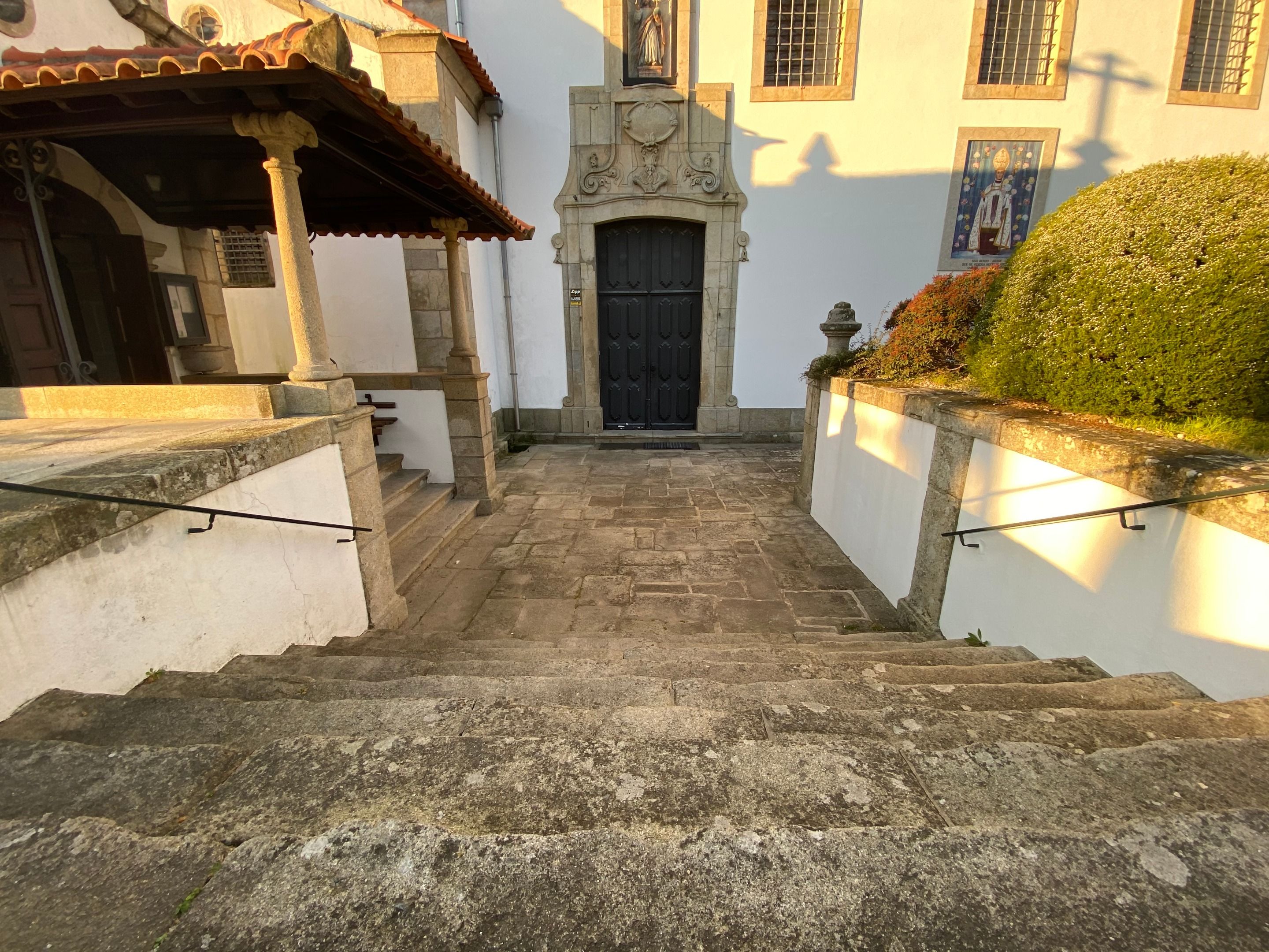 IMG_7730.jpeg