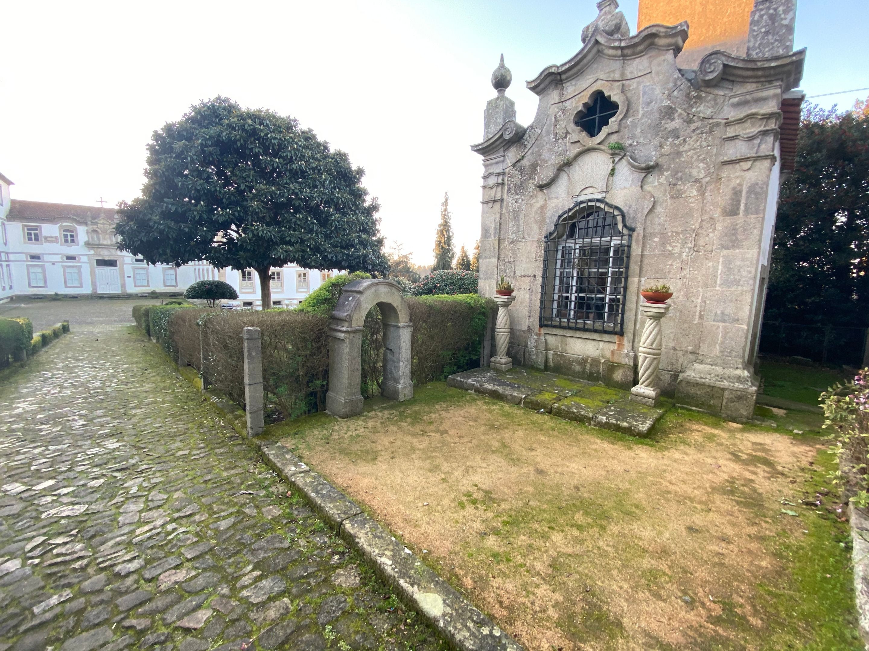 IMG_7750.jpeg
