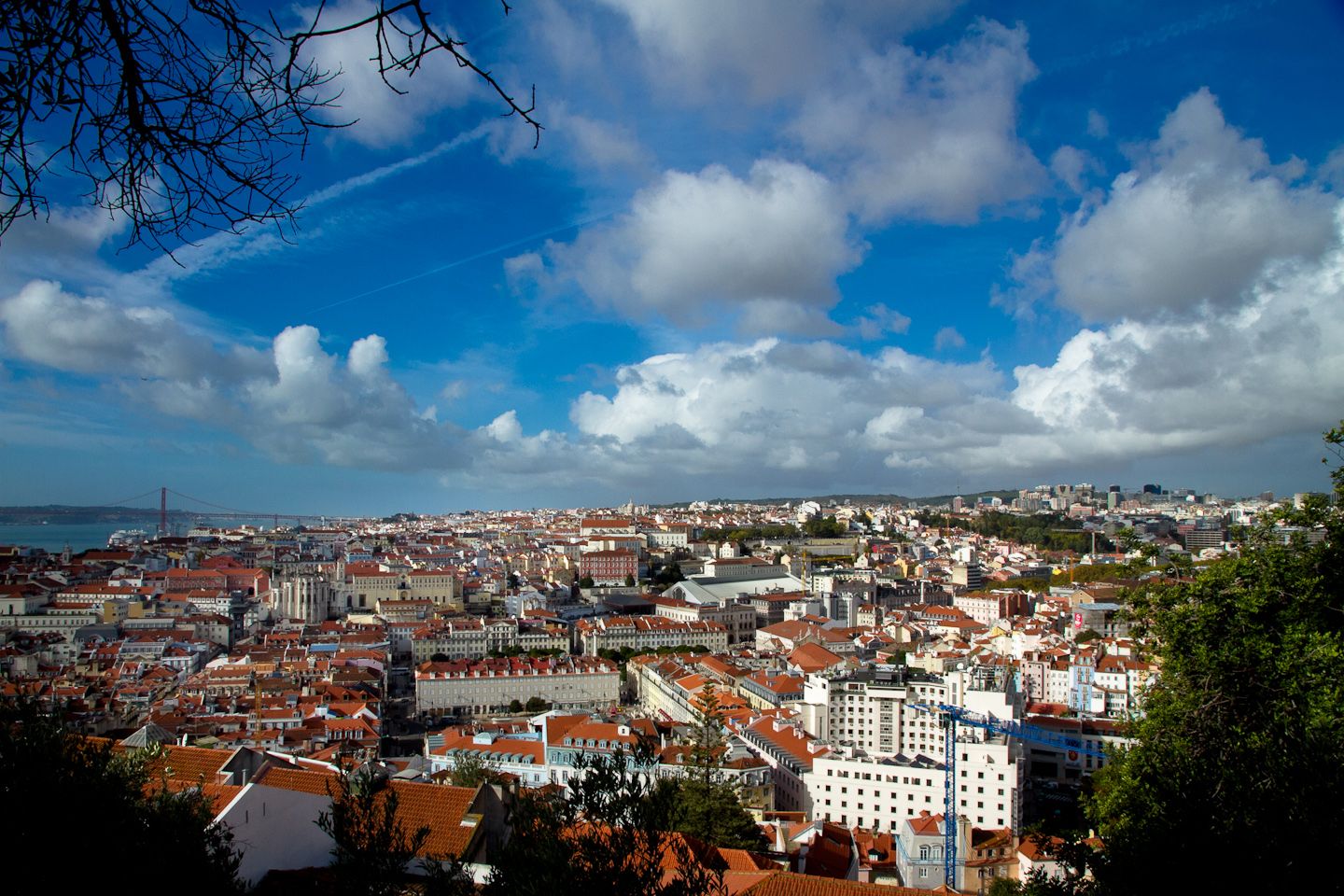 _MG_9377.jpg