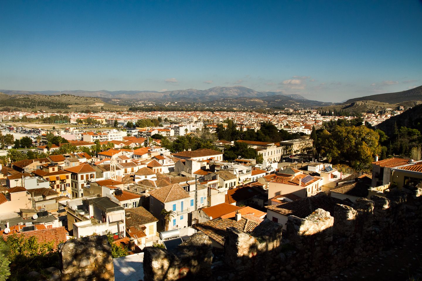_MG_1743.jpg