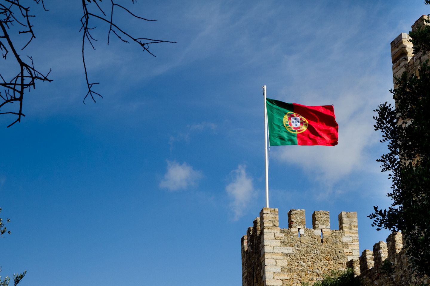 _MG_9374.jpg