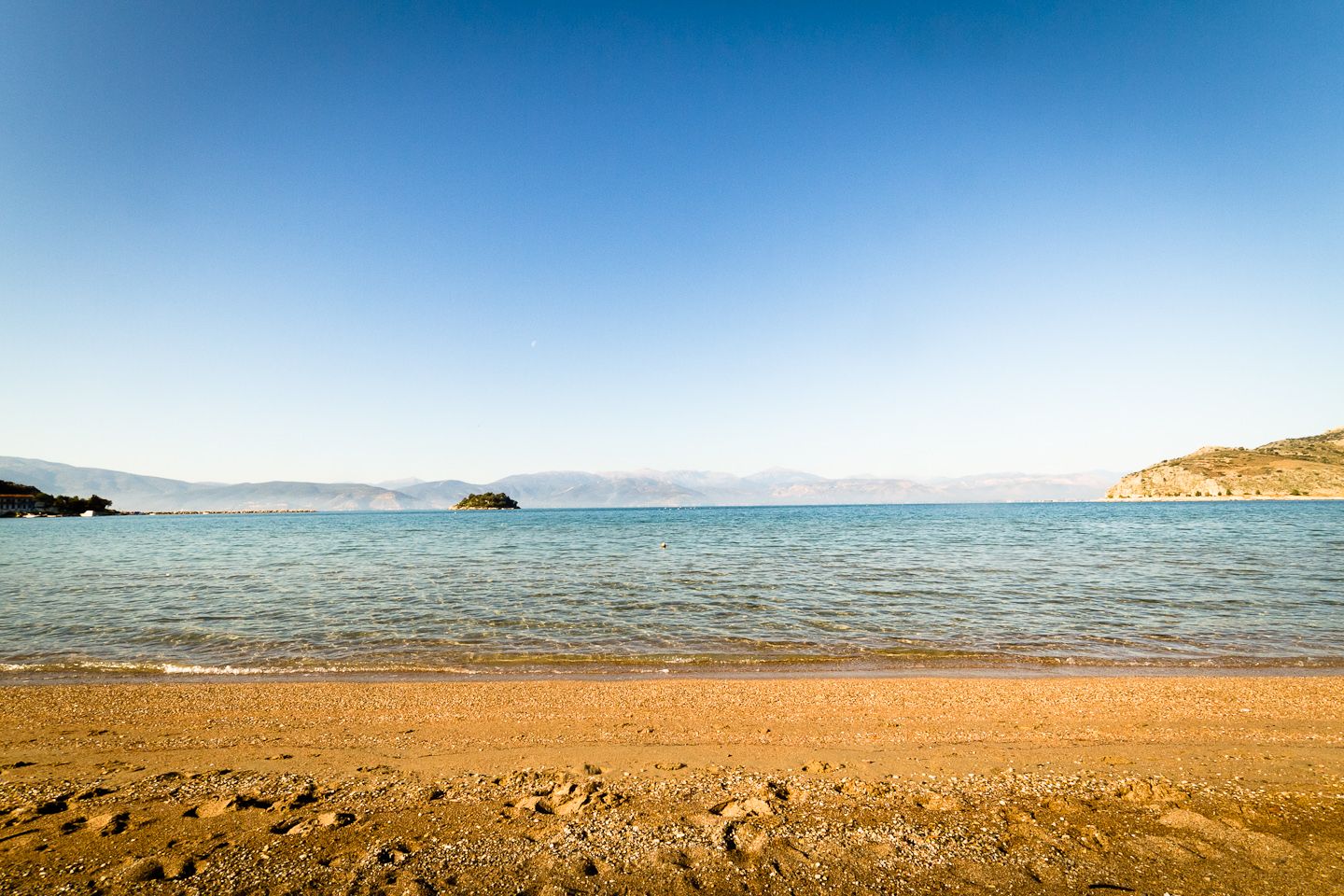 _MG_1565.jpg