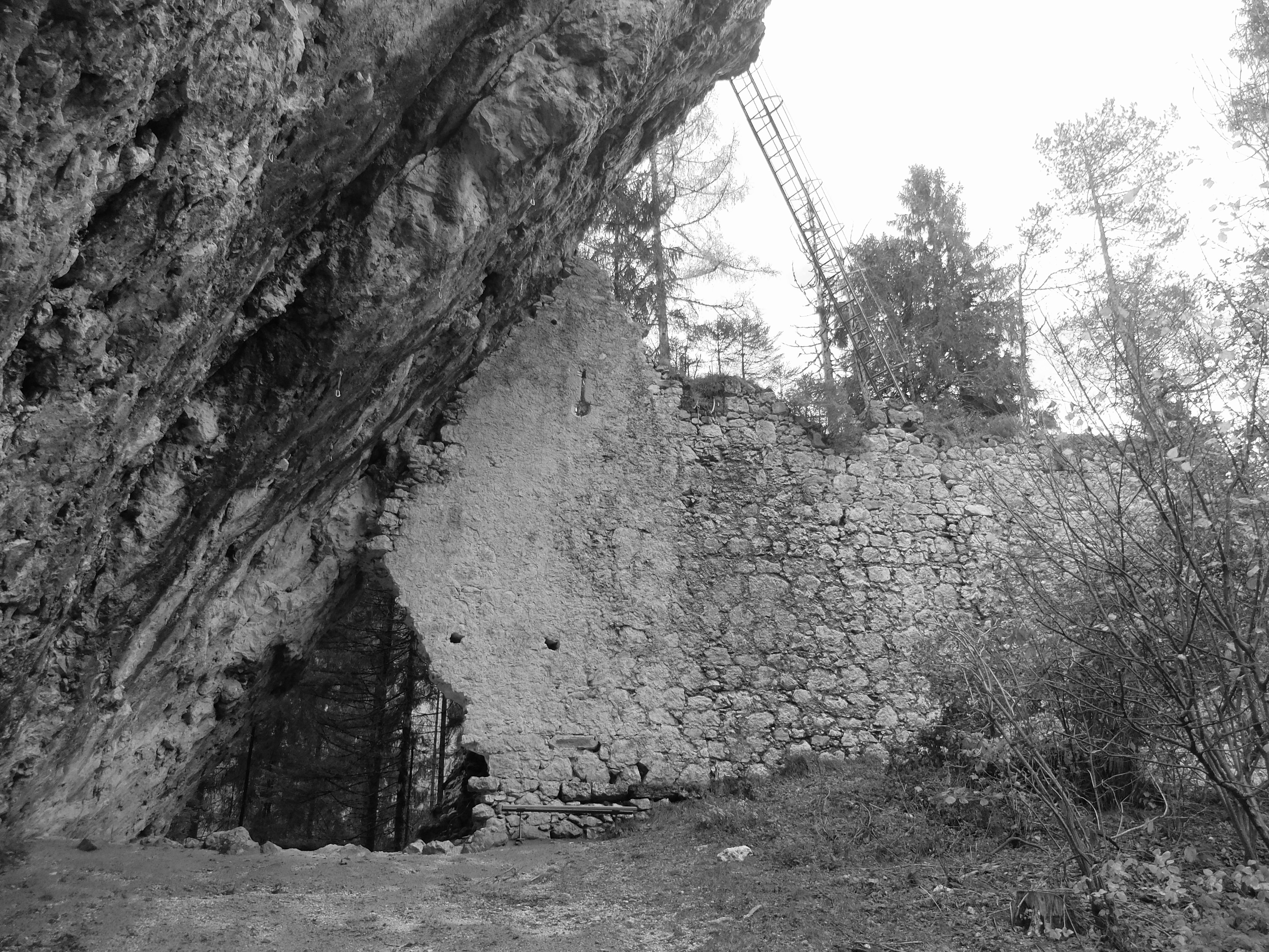 DSCF1425.JPG